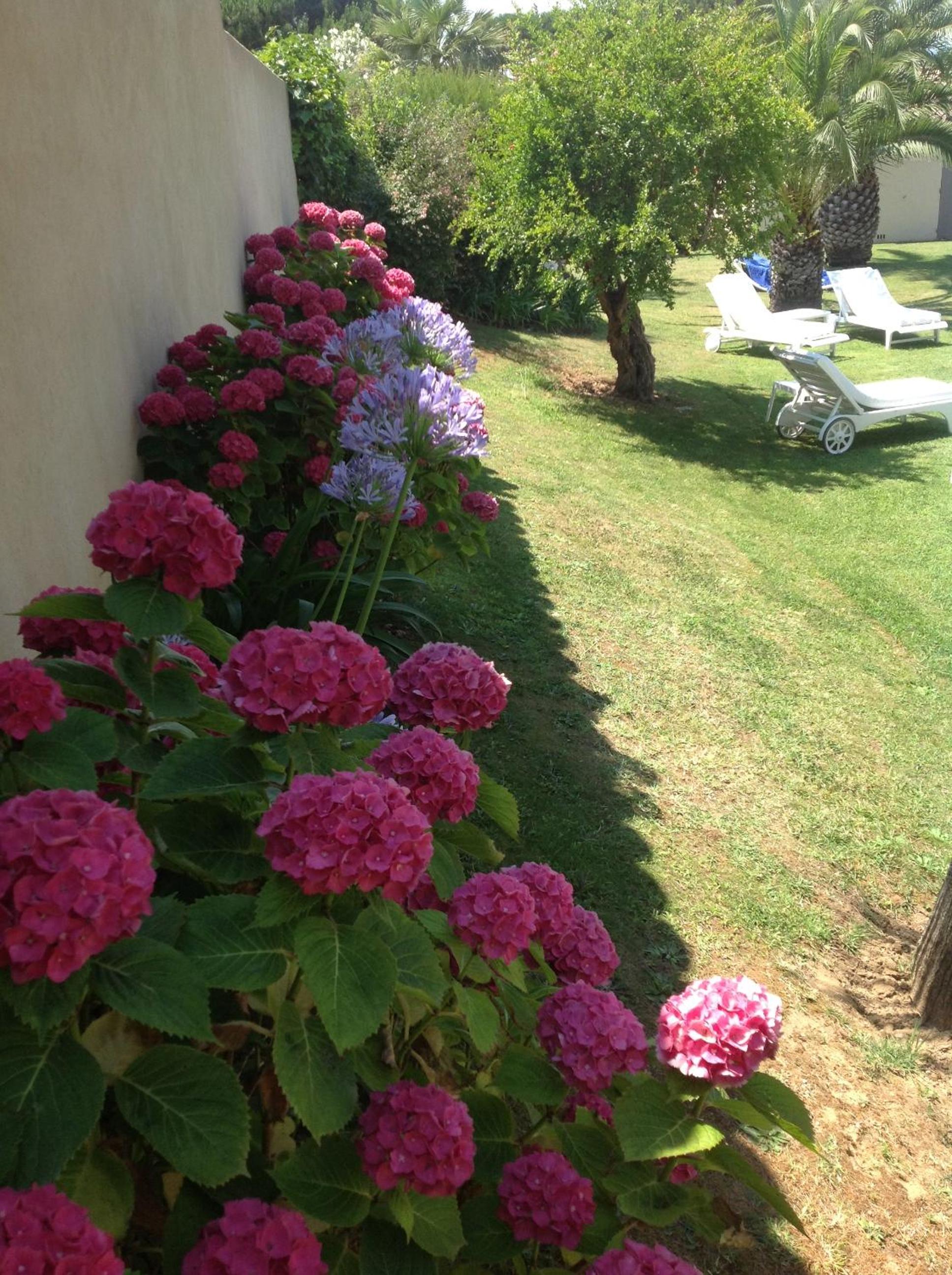Photo 31