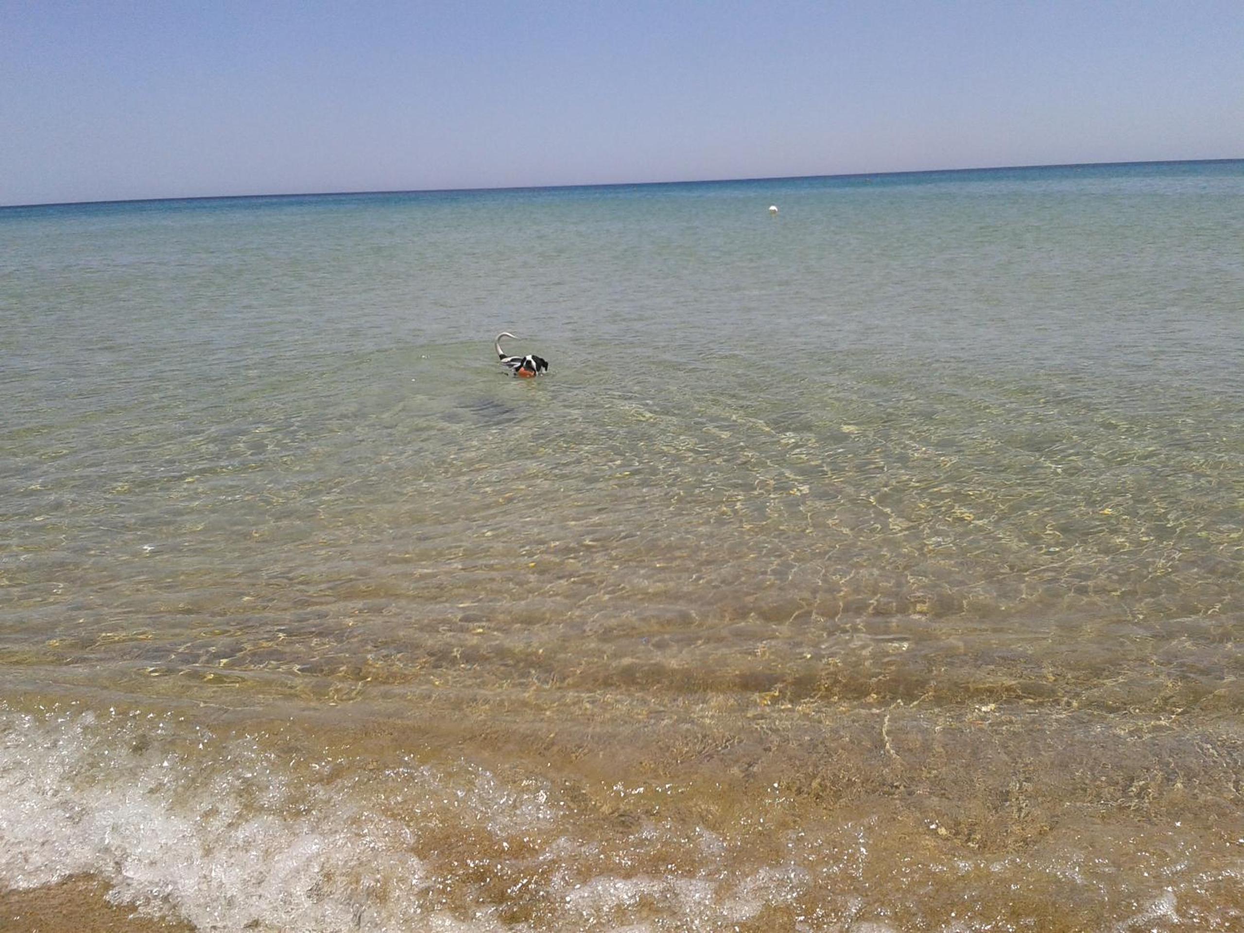 Photo 23