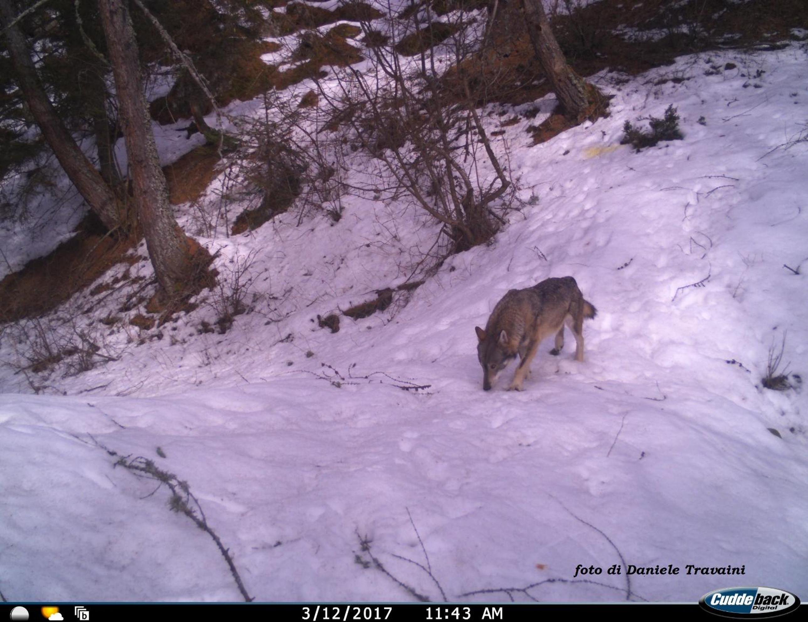 Photo 40