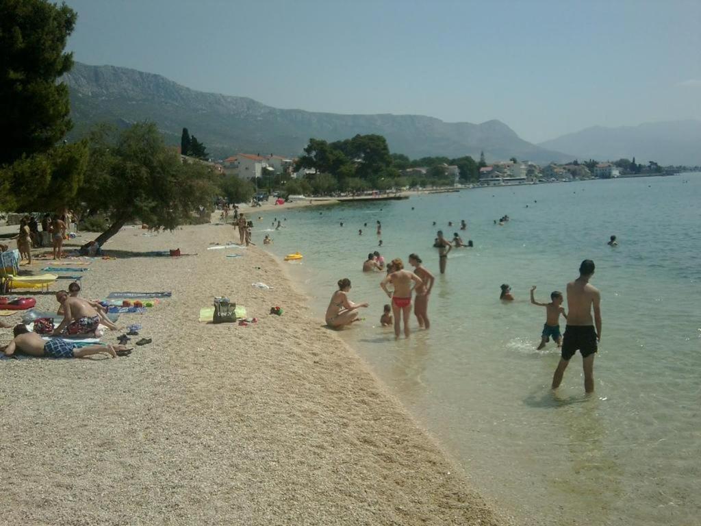 Photo 42