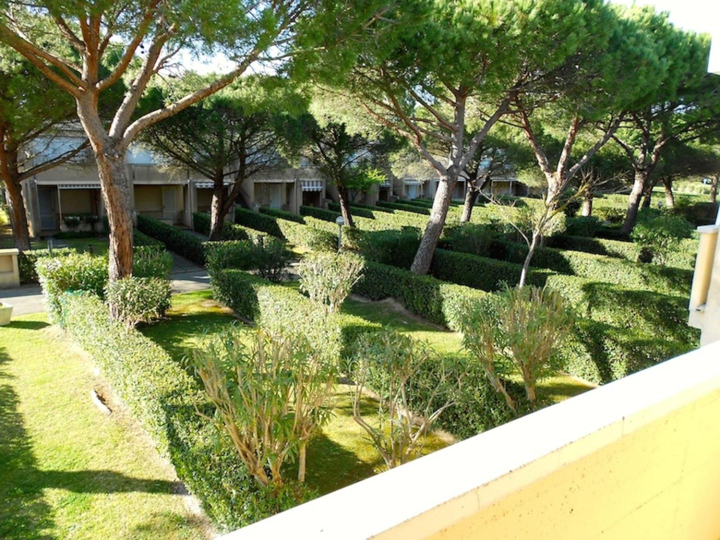 Photo 21