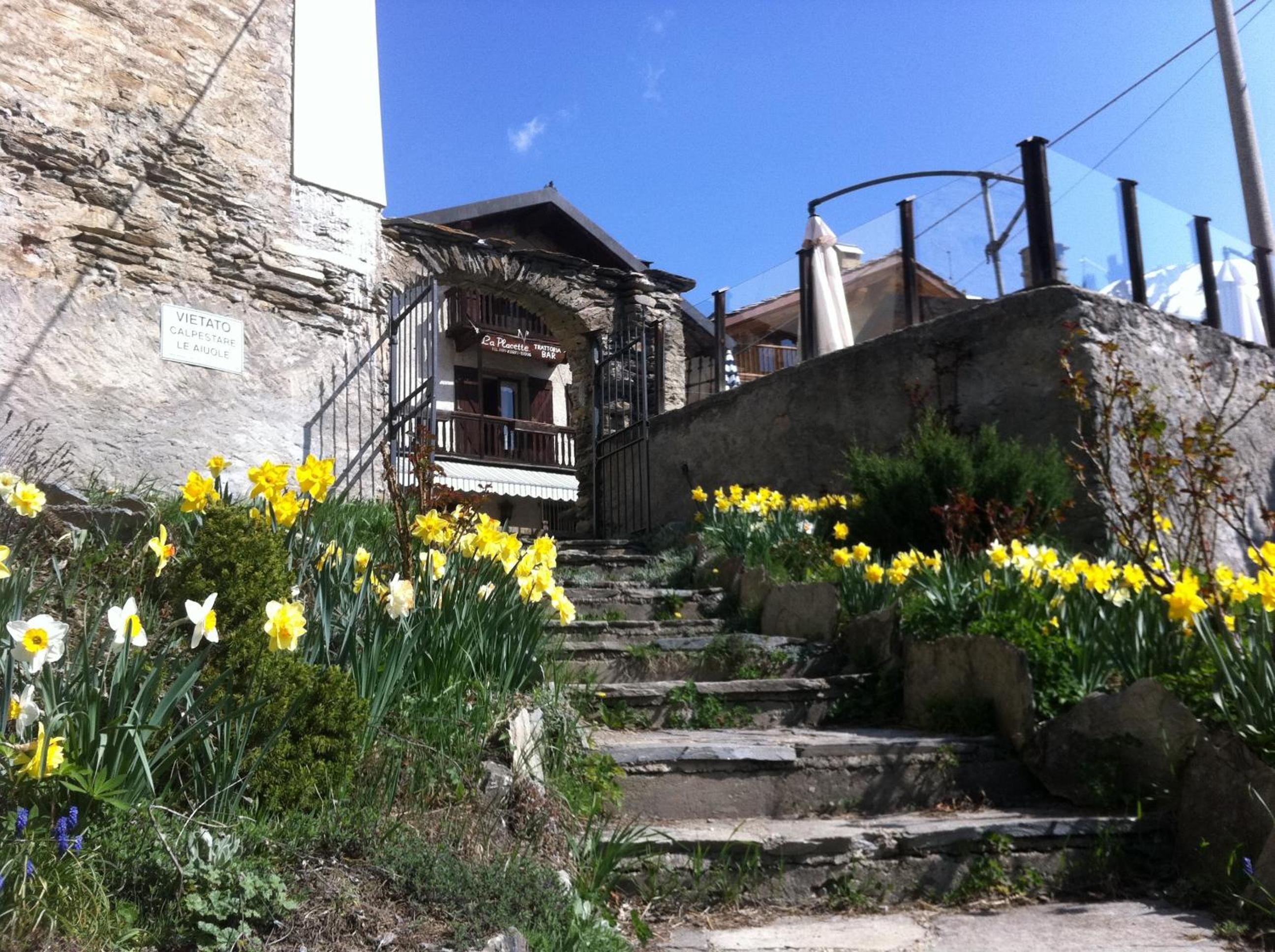 Photo 27