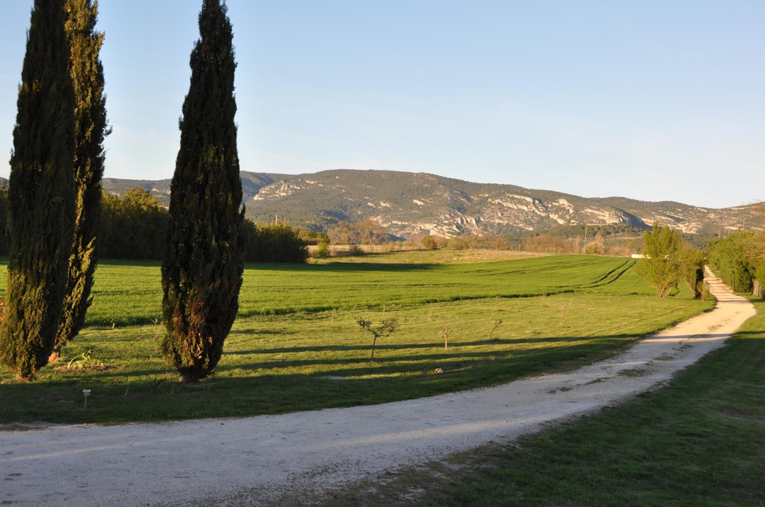 Photo 44