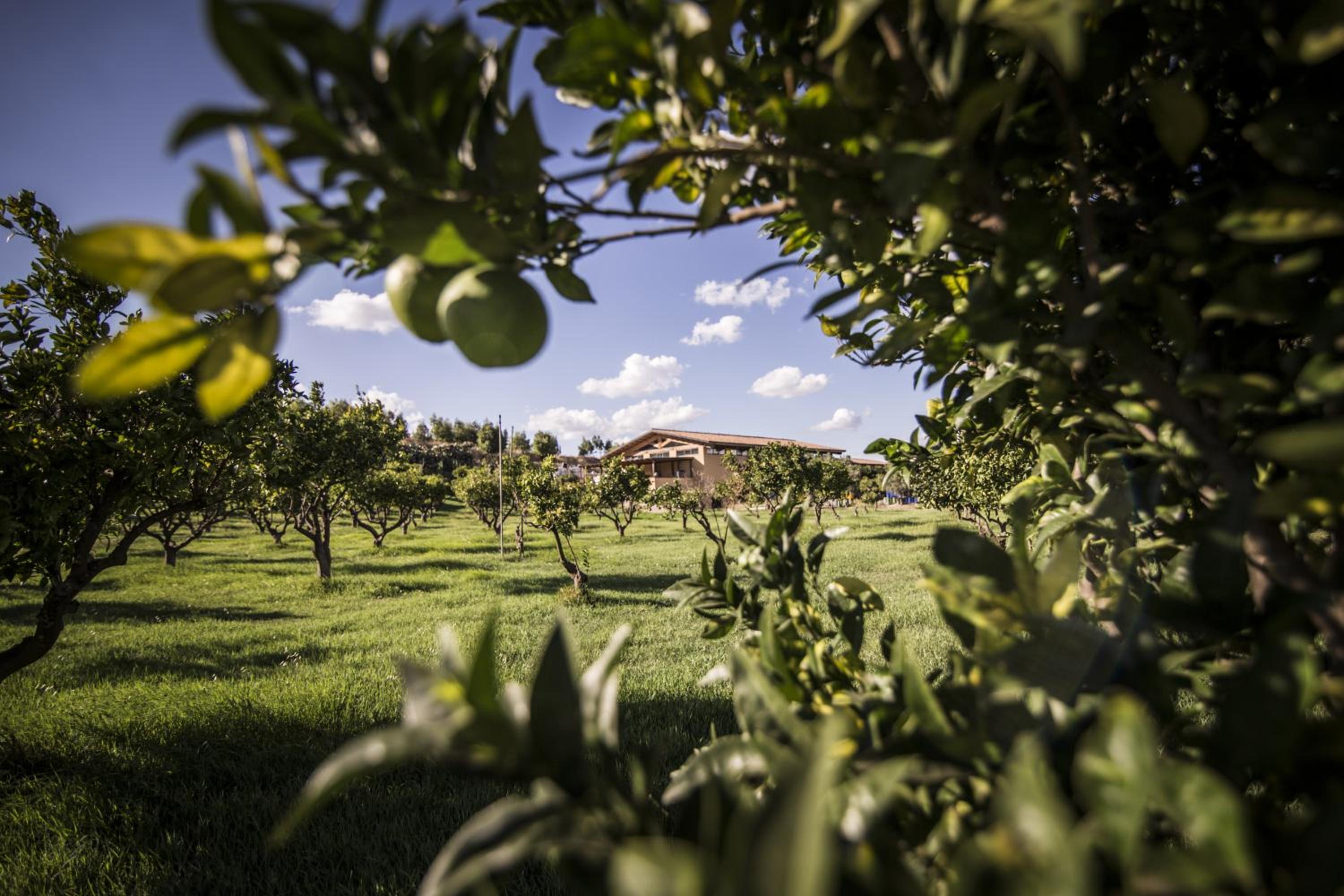 Agriturismo Il Giriatello