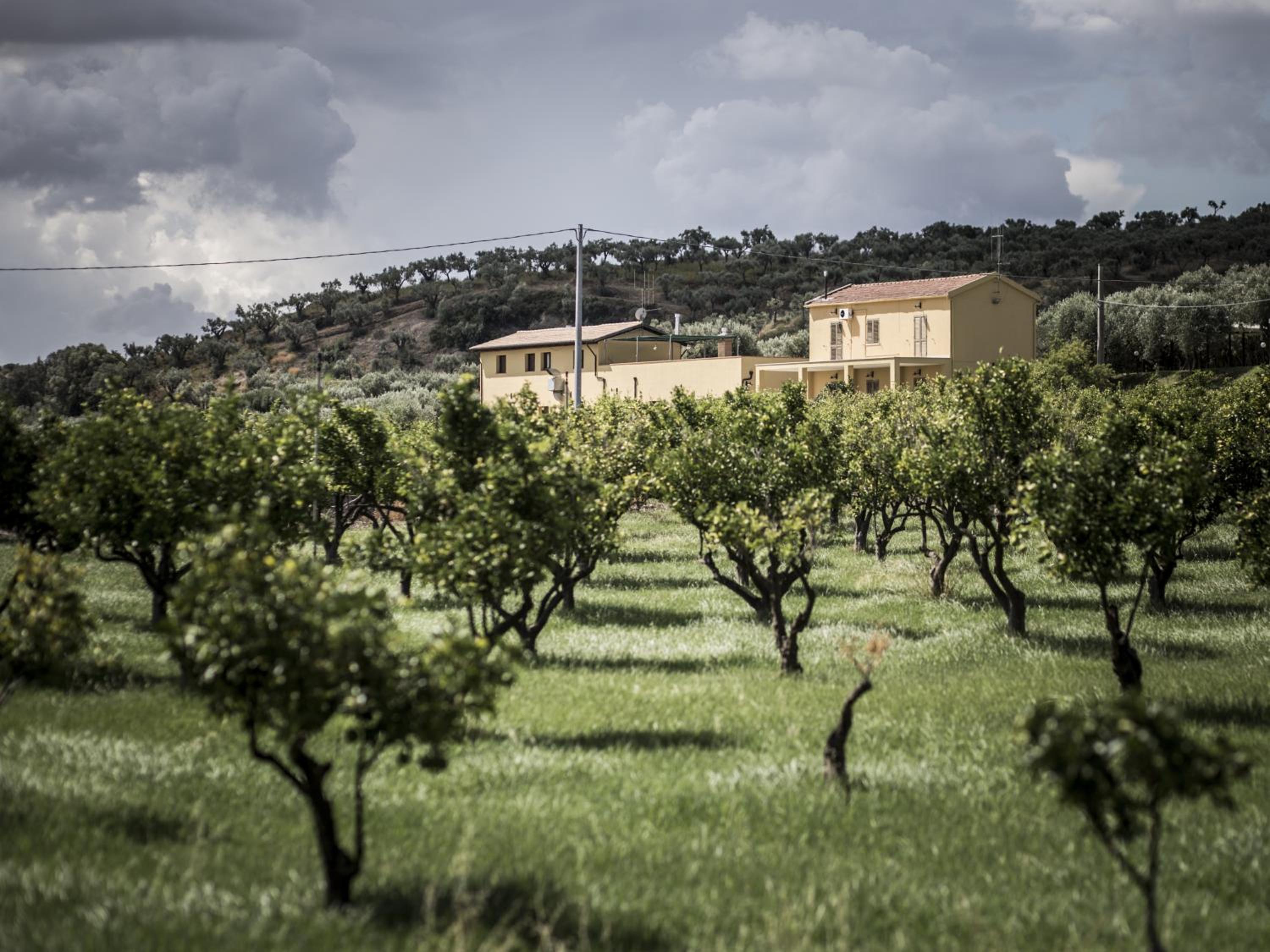 Agriturismo Il Giriatello