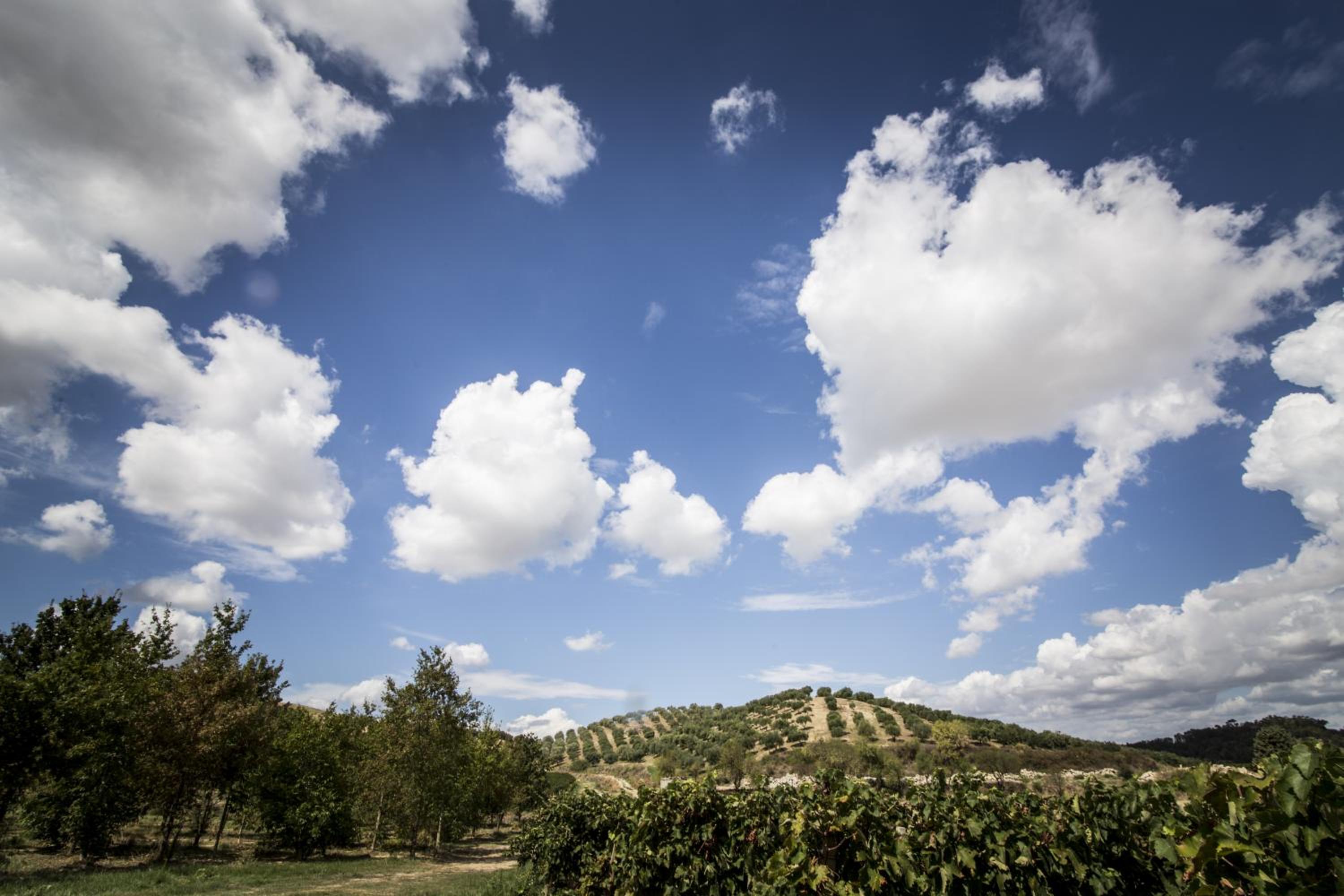 Agriturismo Il Giriatello
