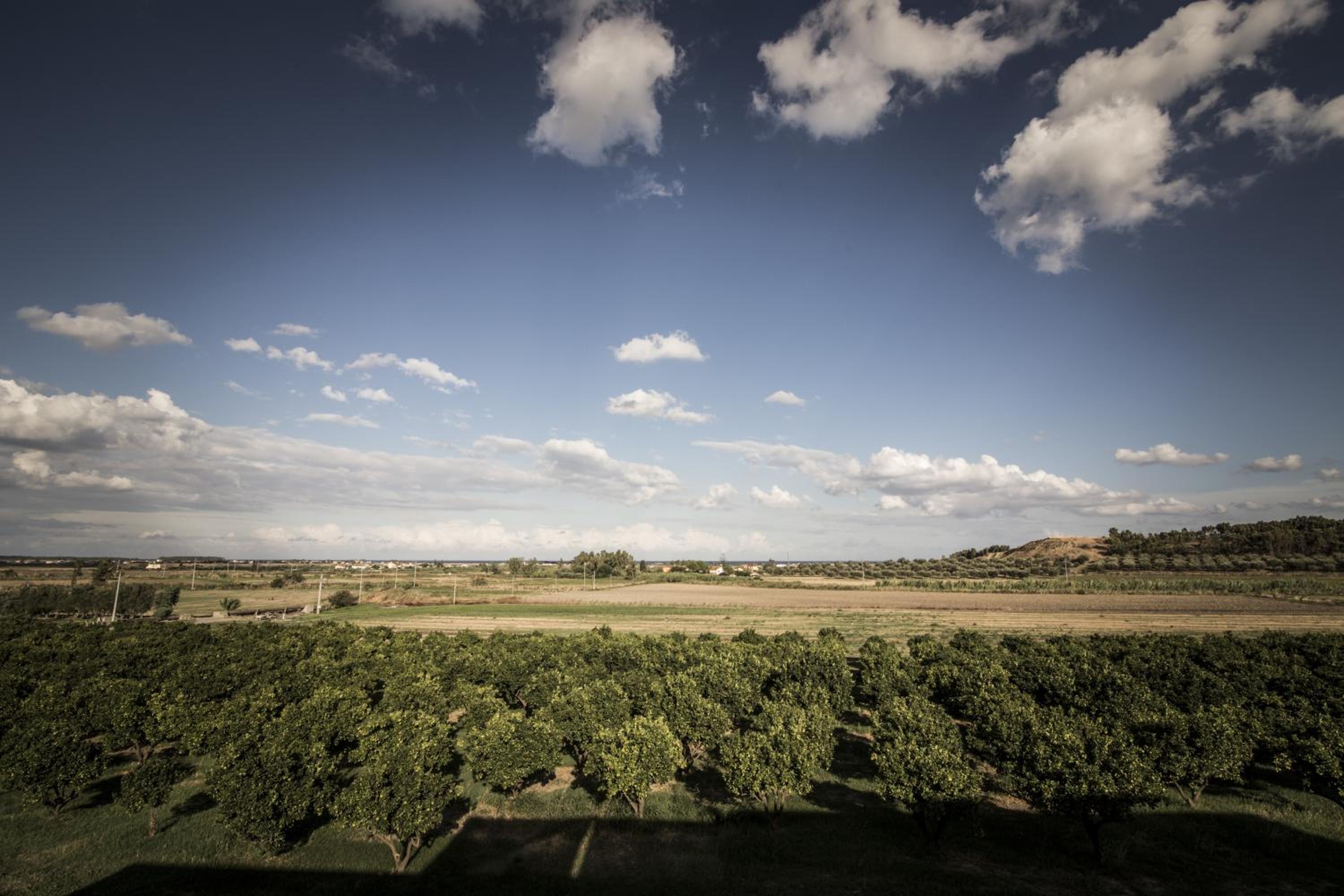 Agriturismo Il Giriatello
