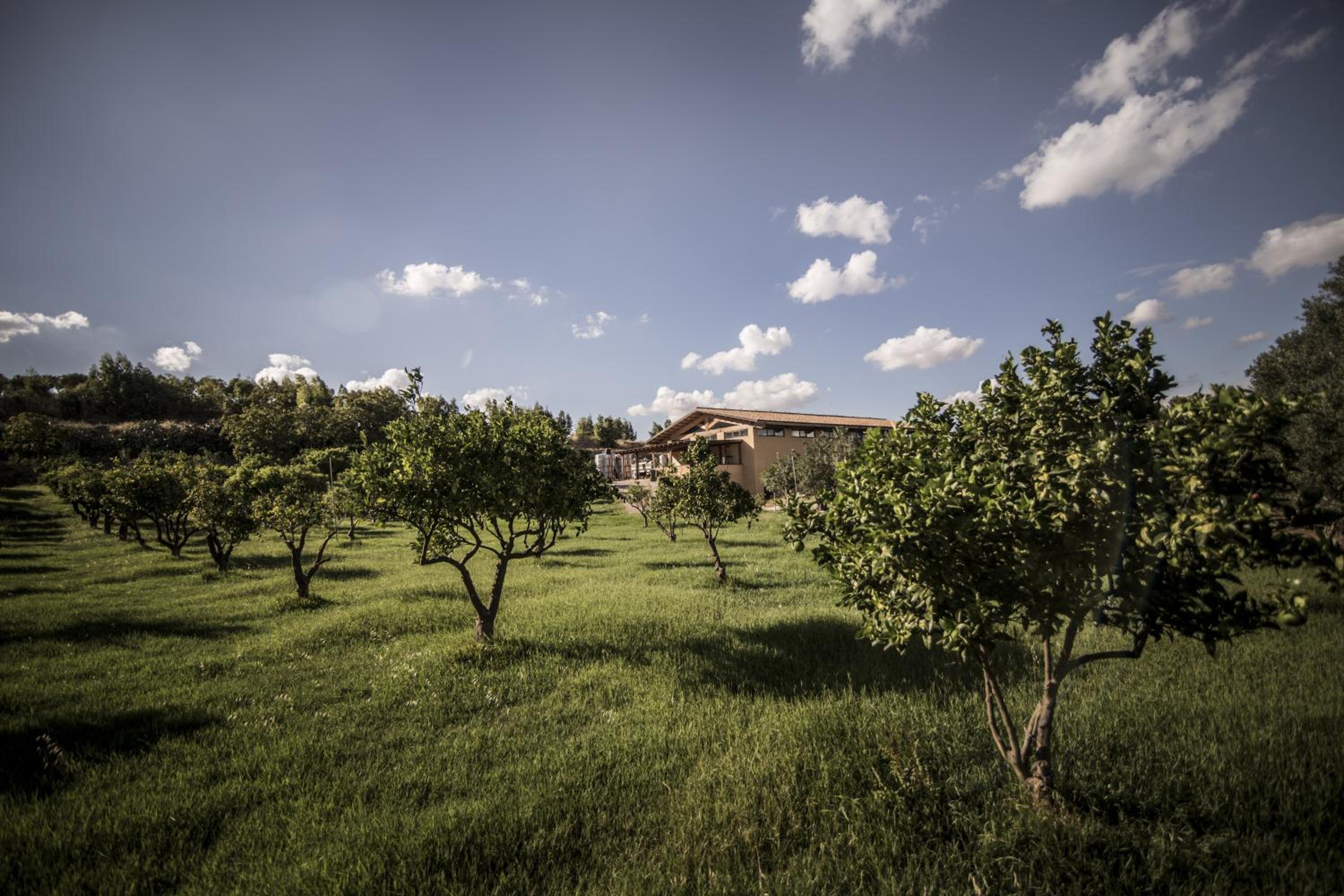 Agriturismo Il Giriatello