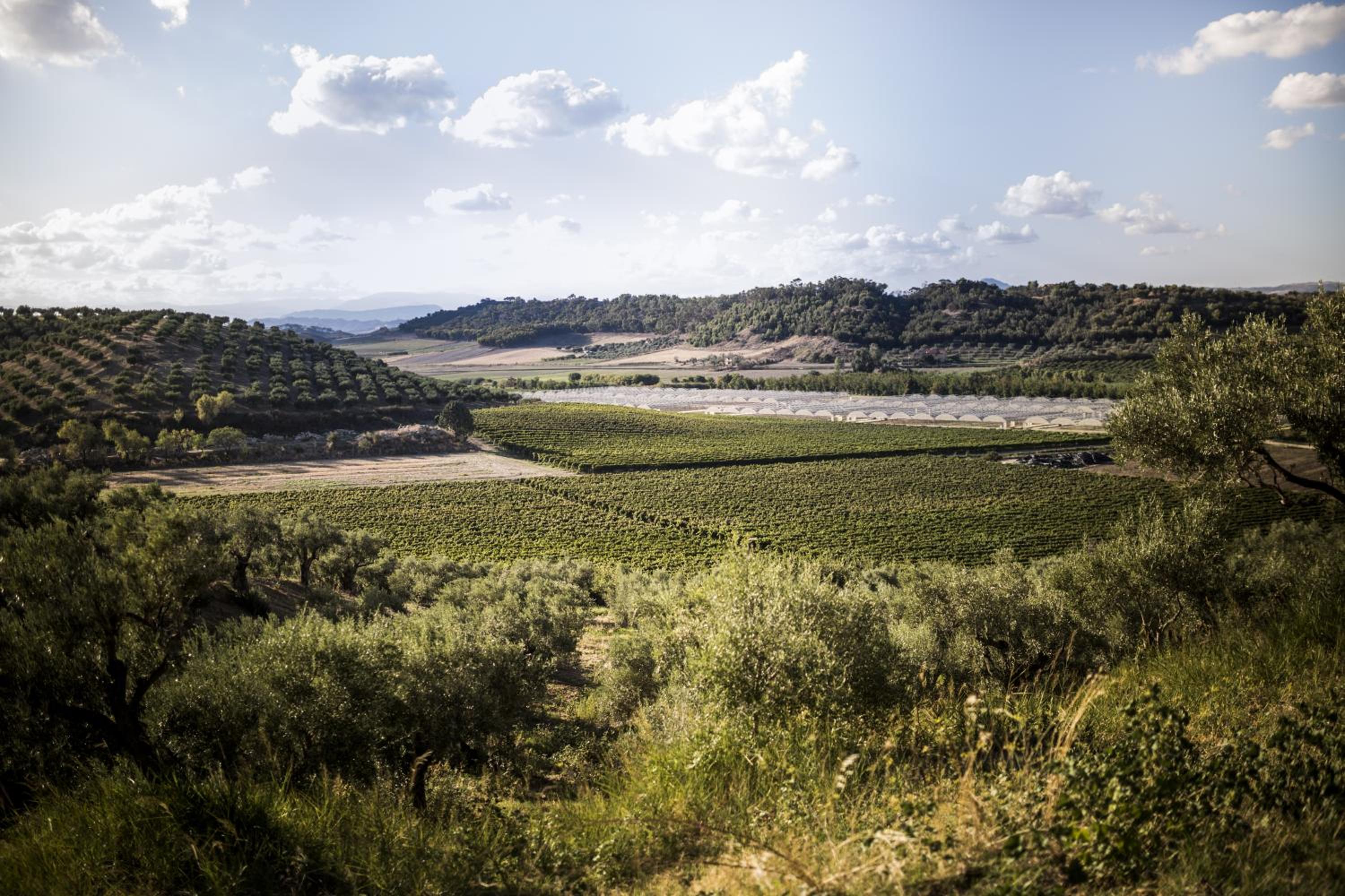 Agriturismo Il Giriatello