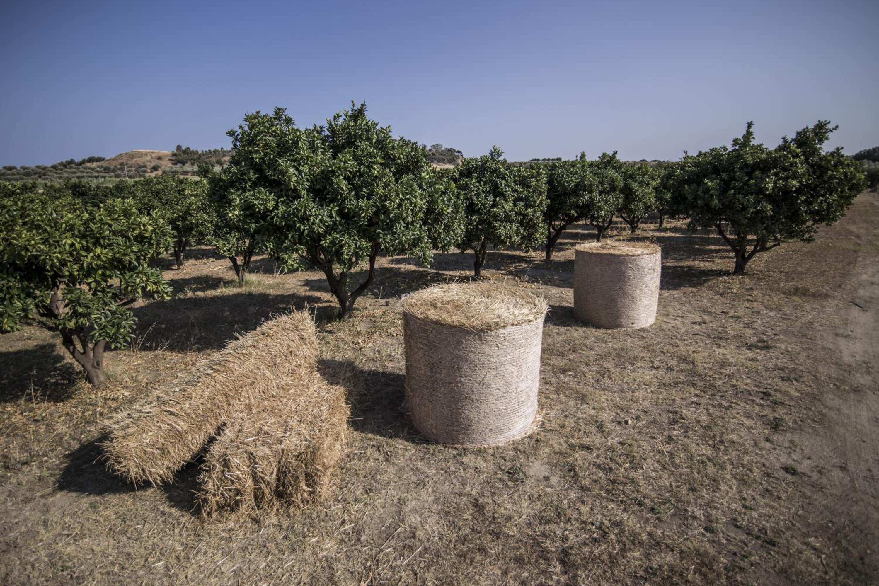 Agriturismo Il Giriatello