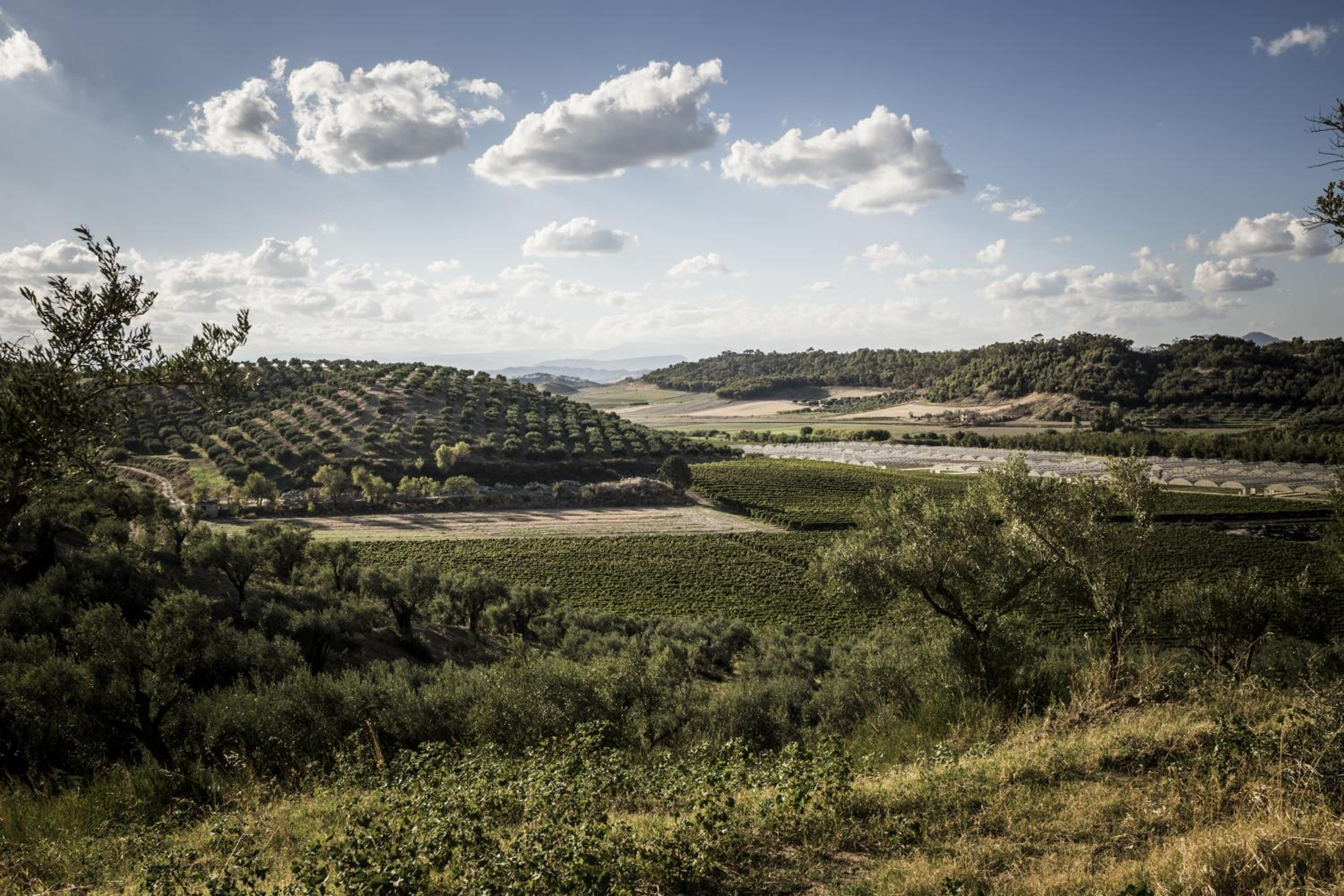 Agriturismo Il Giriatello