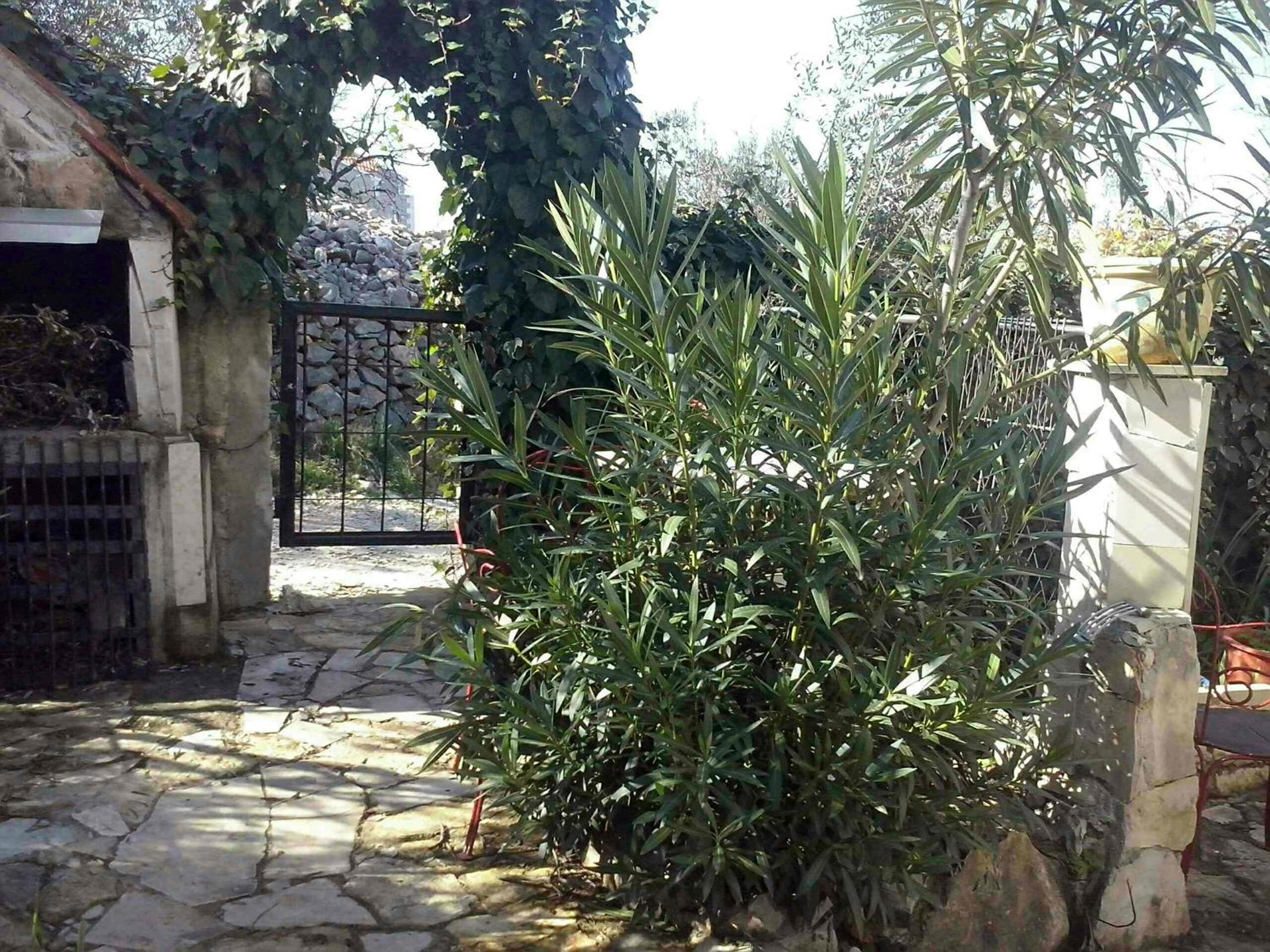 Photo 25