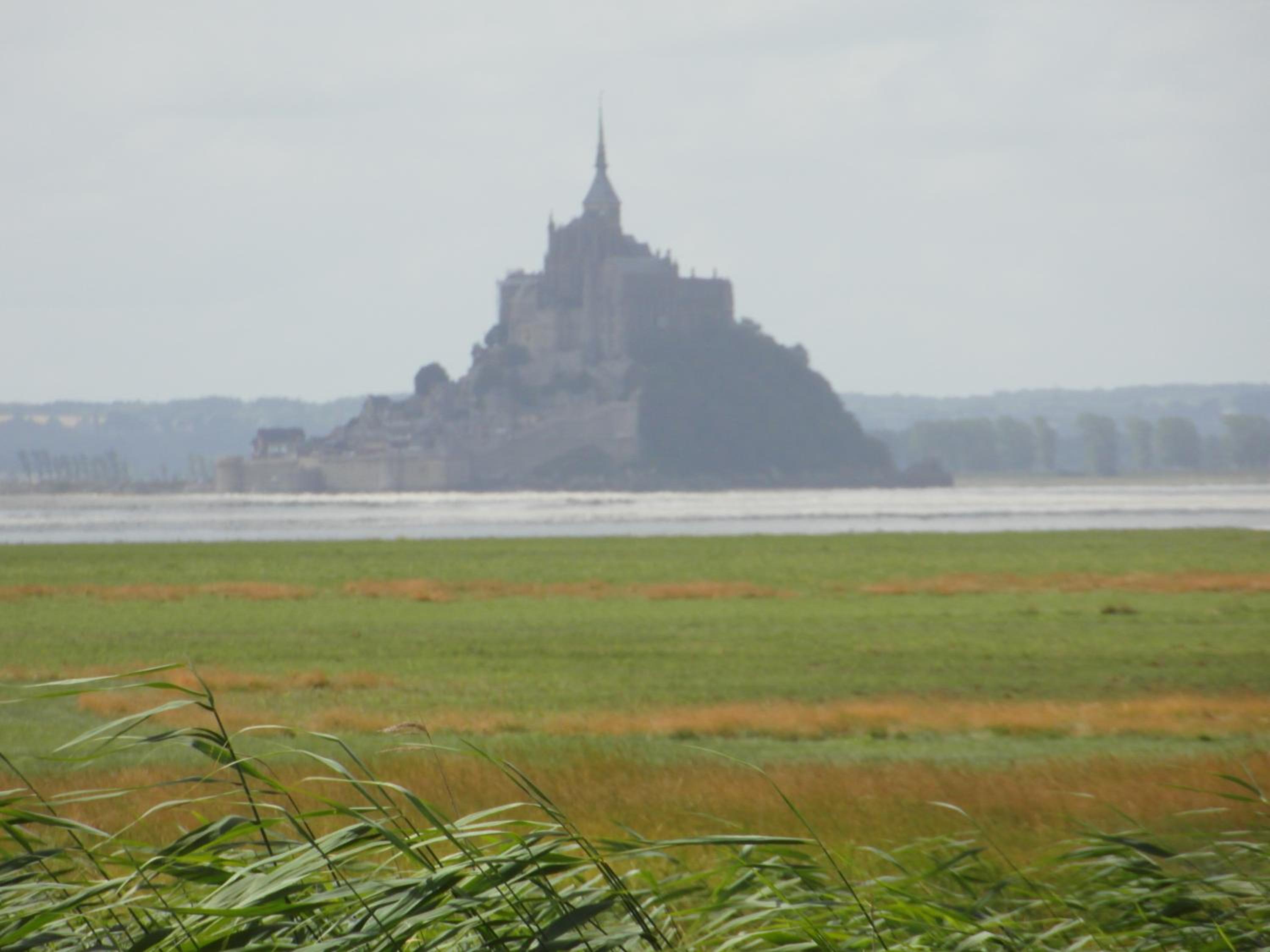 Les Hirondelles de la Baie view 2