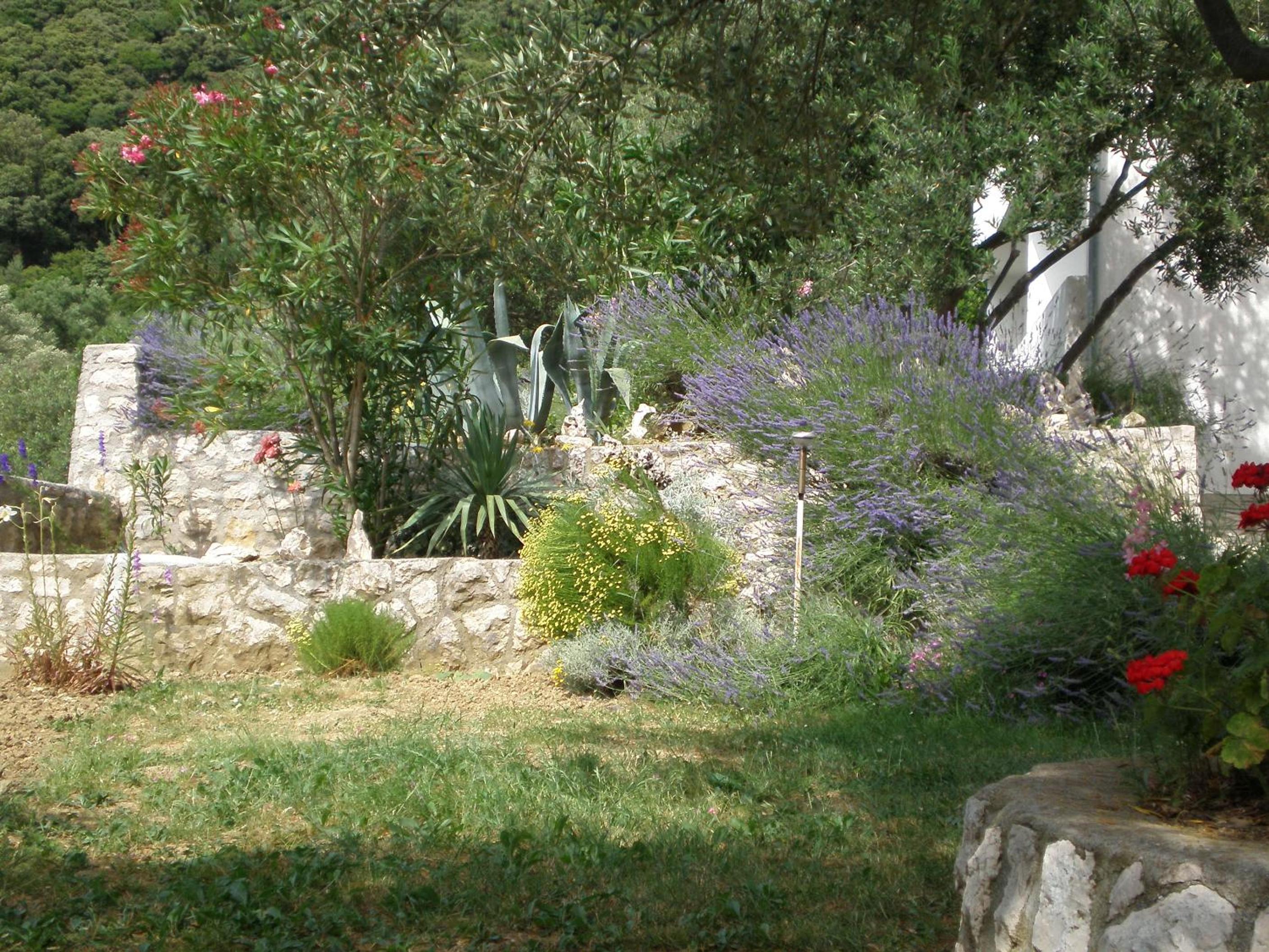 Photo 19