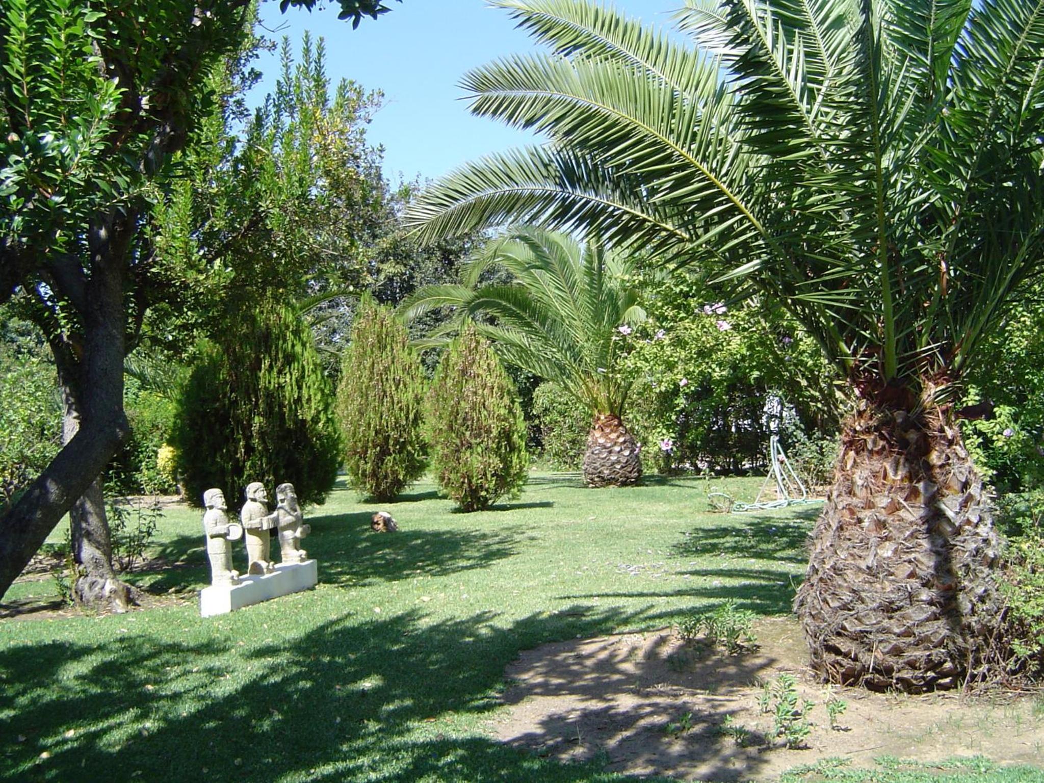 Photo 41
