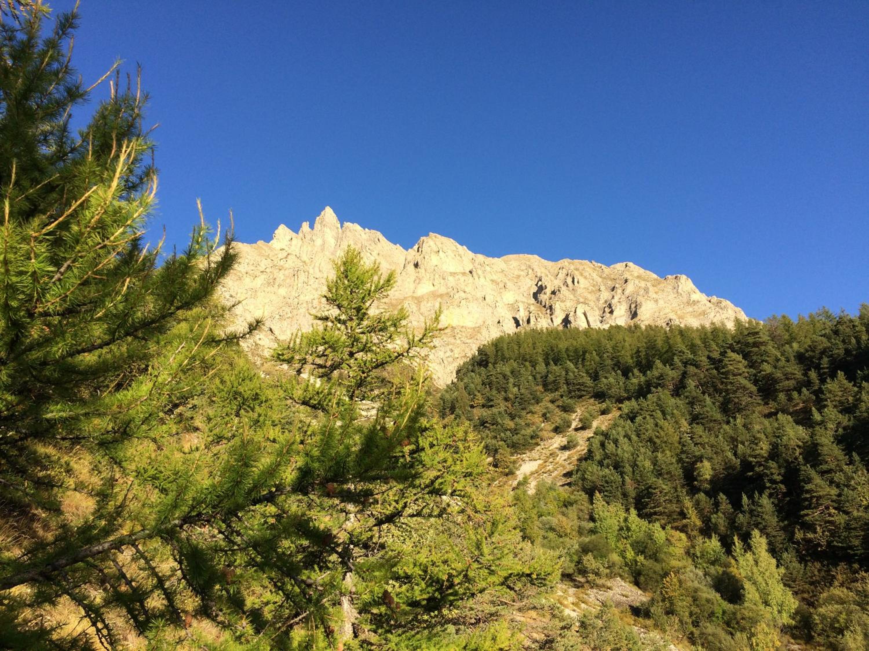 Photo 21