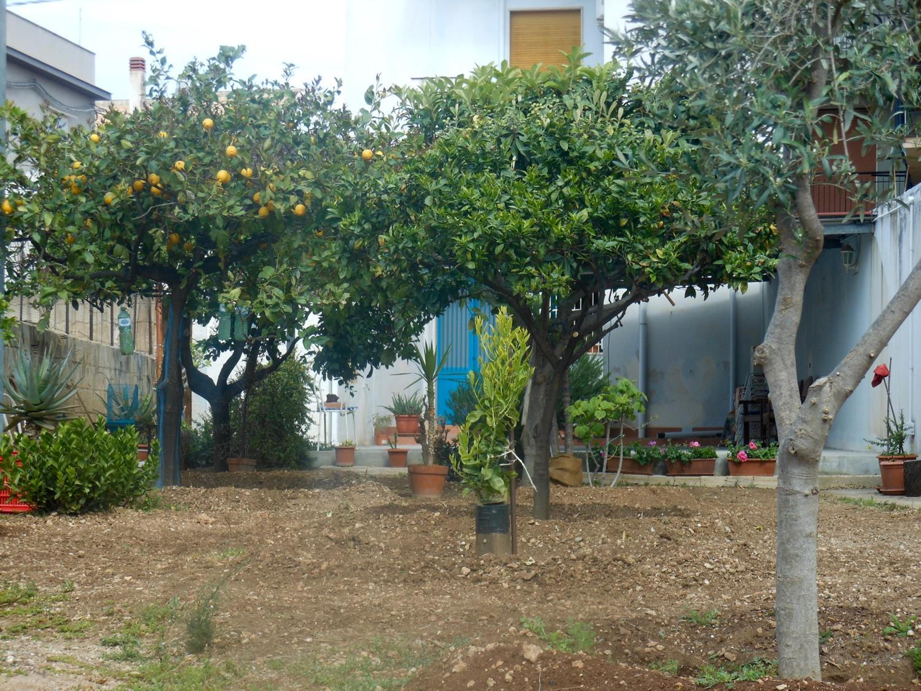 Photo 28