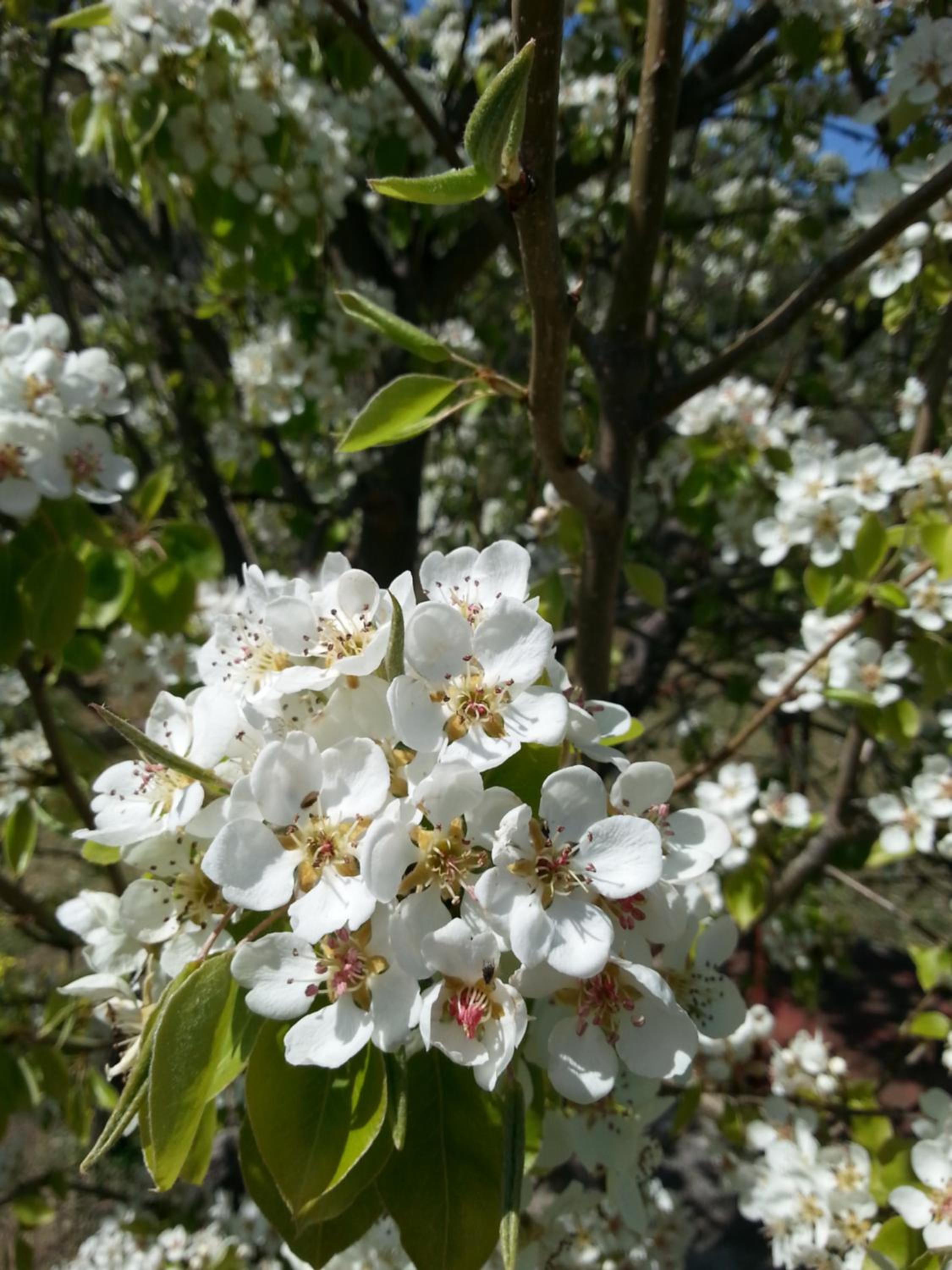 Photo 27