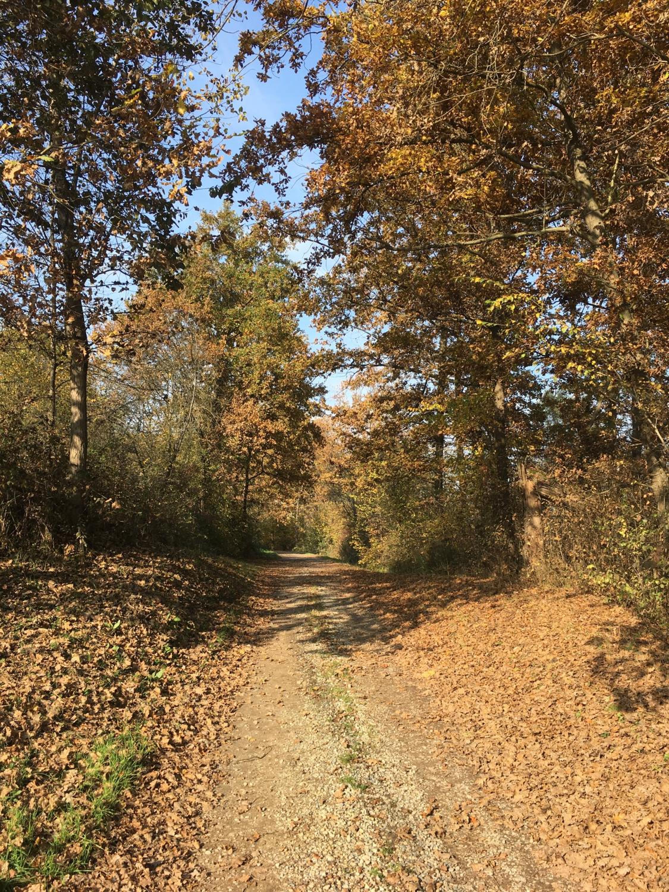 B&B Cascina Dei Levrieri