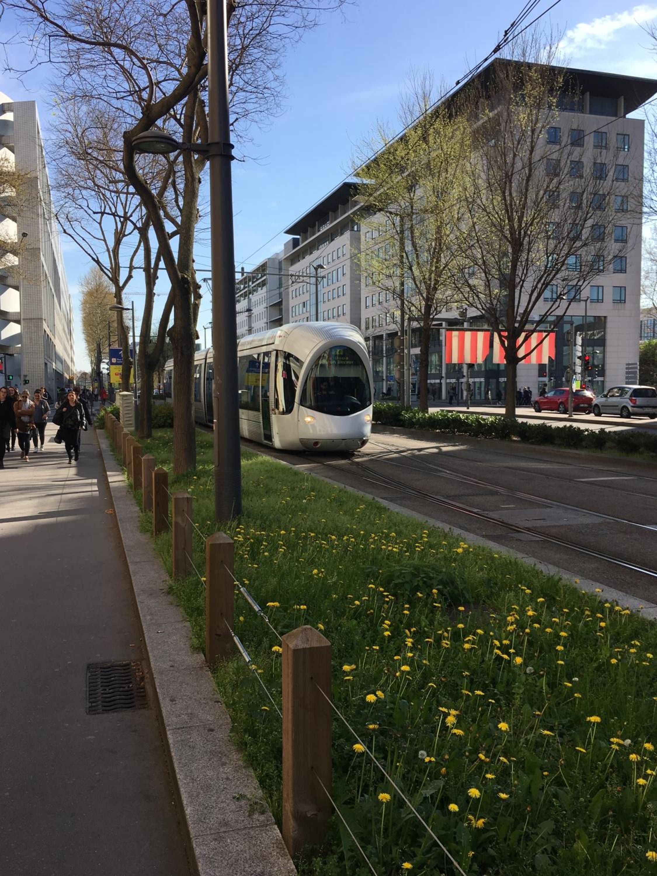At home in lyon