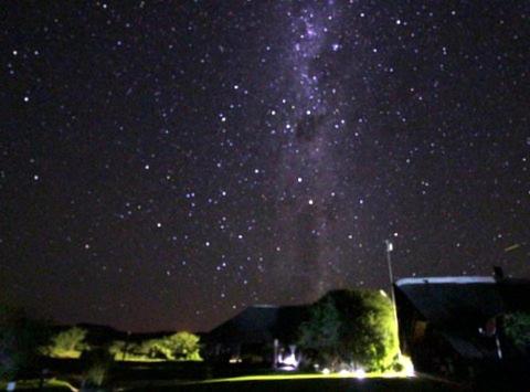 Camp Nguni