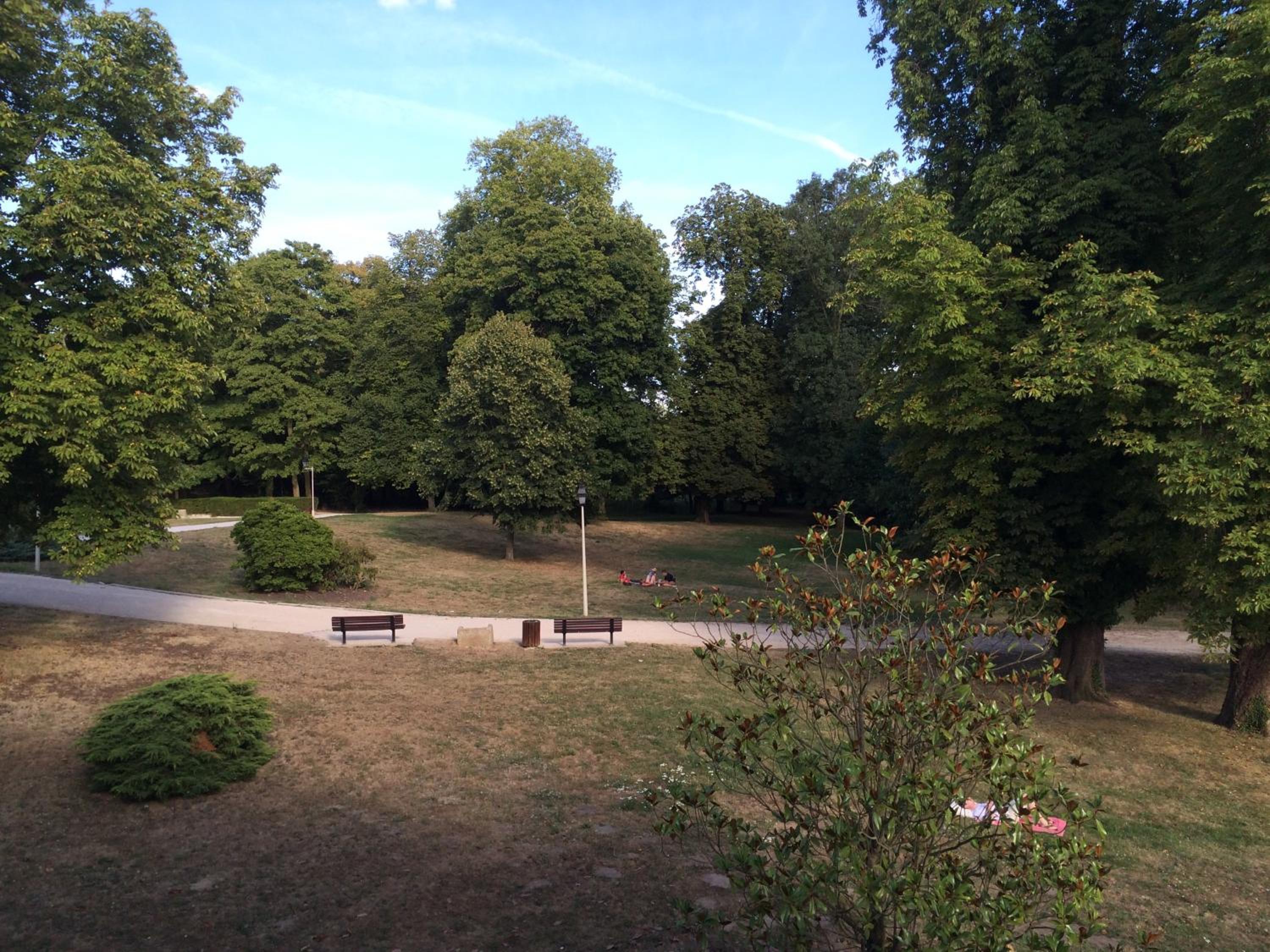Photo 13