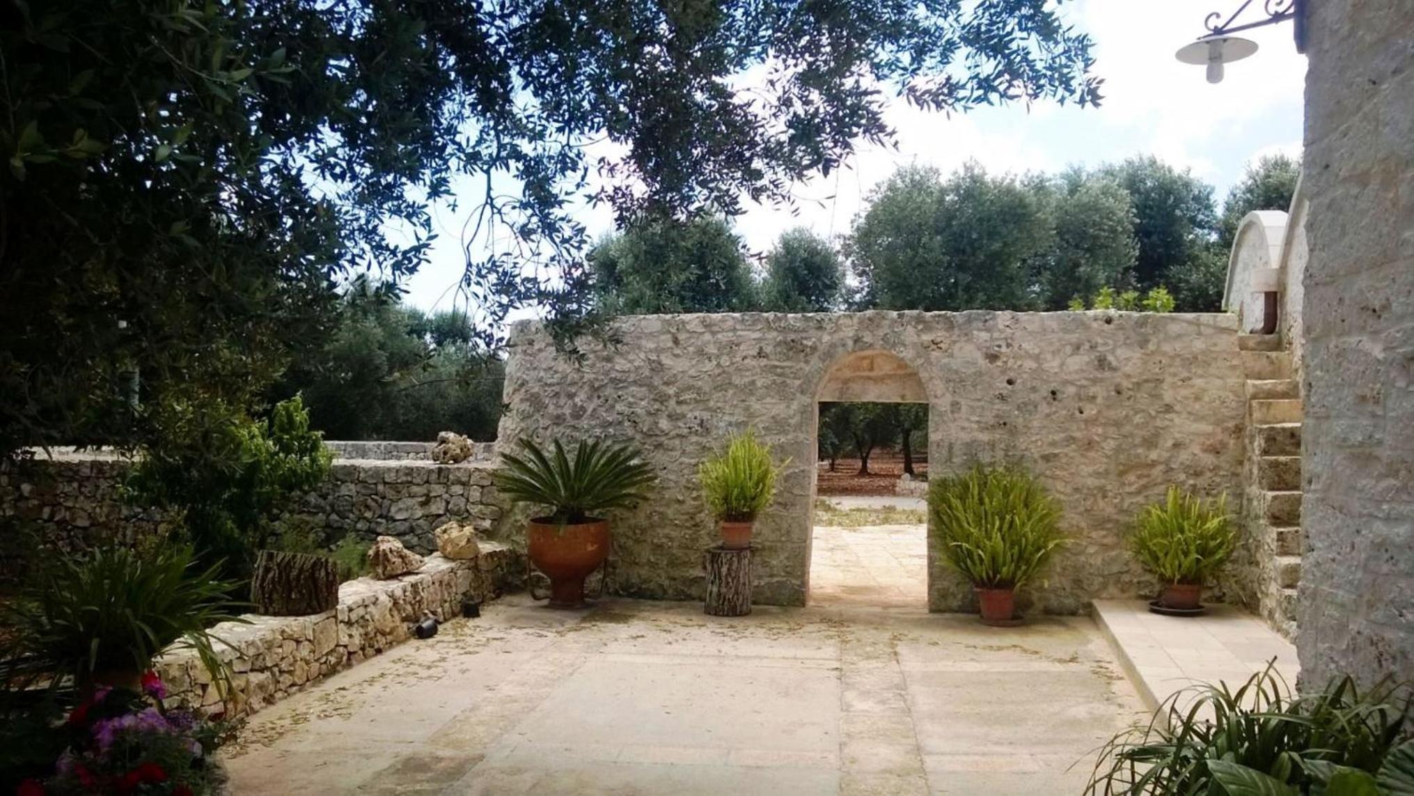 Photo 6