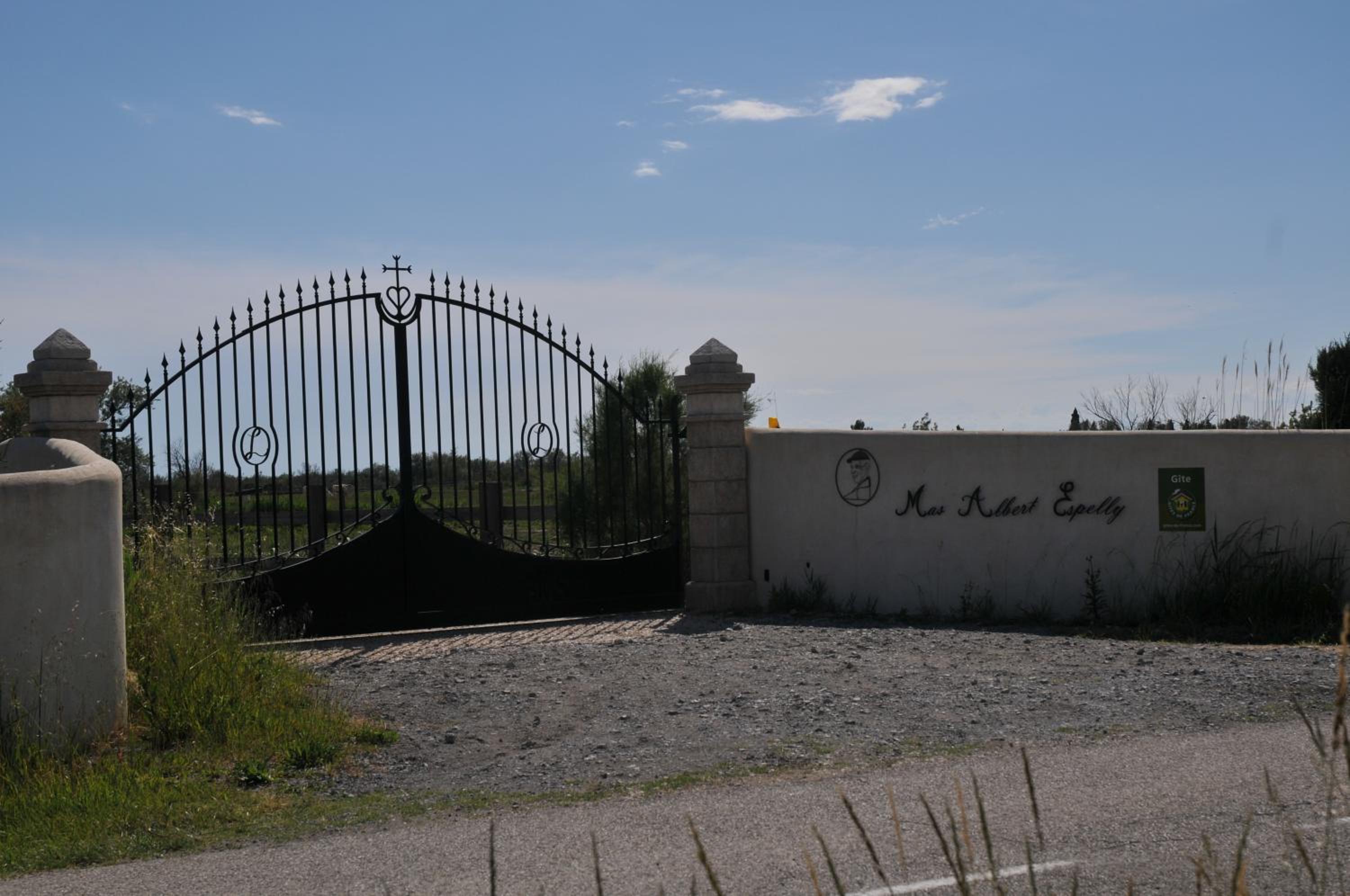 Photo 45