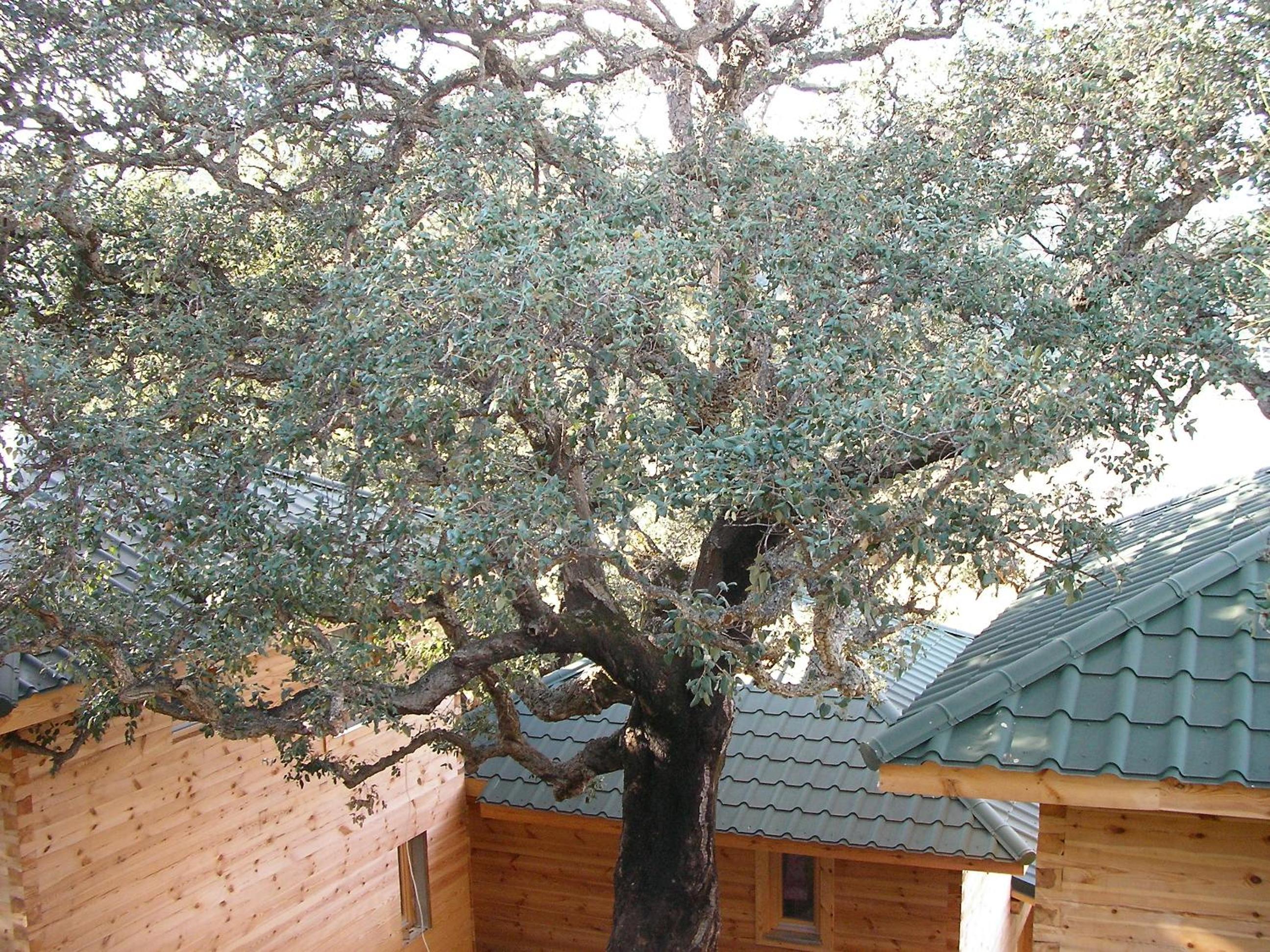 Photo 25