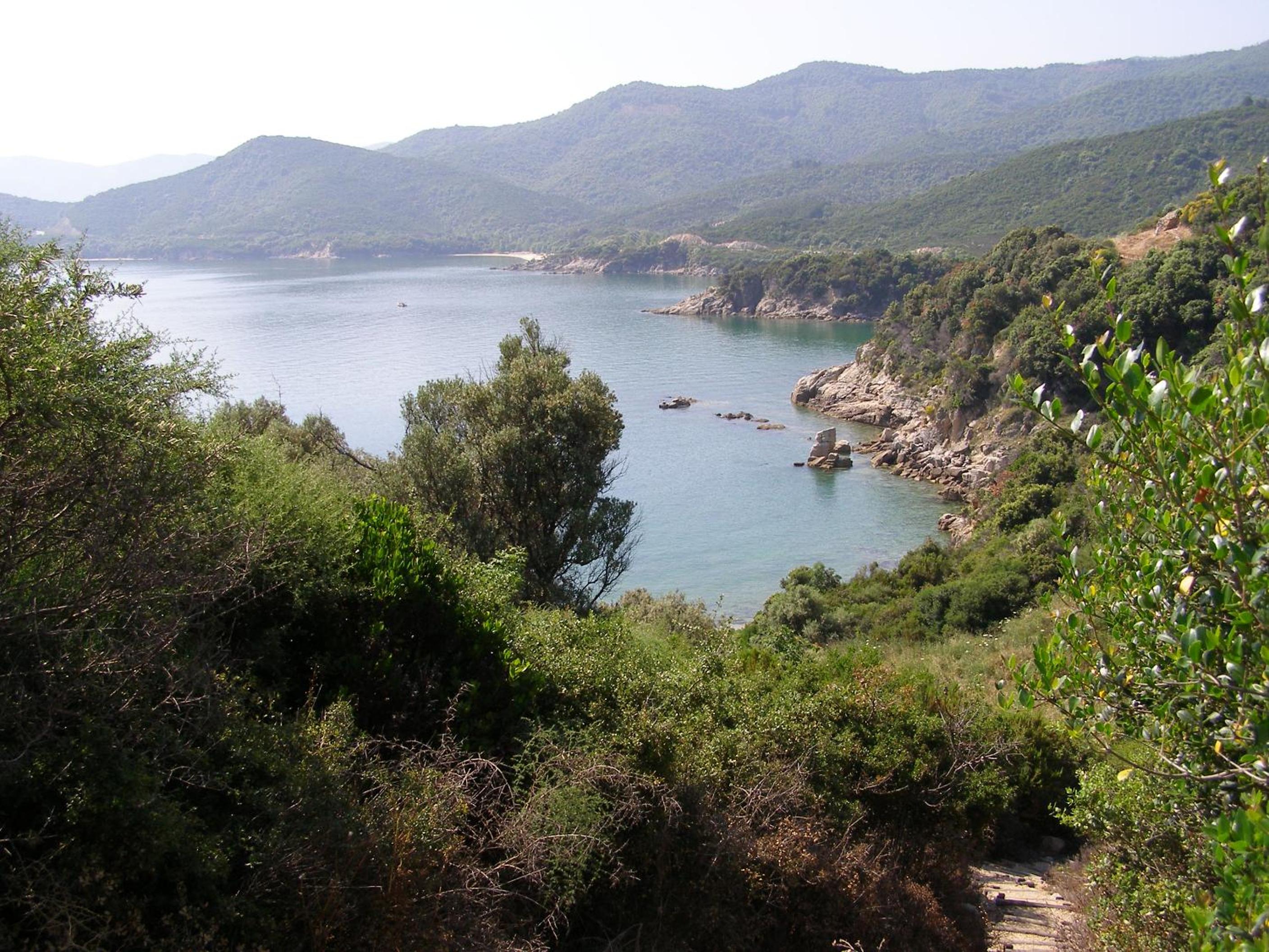 Photo 20