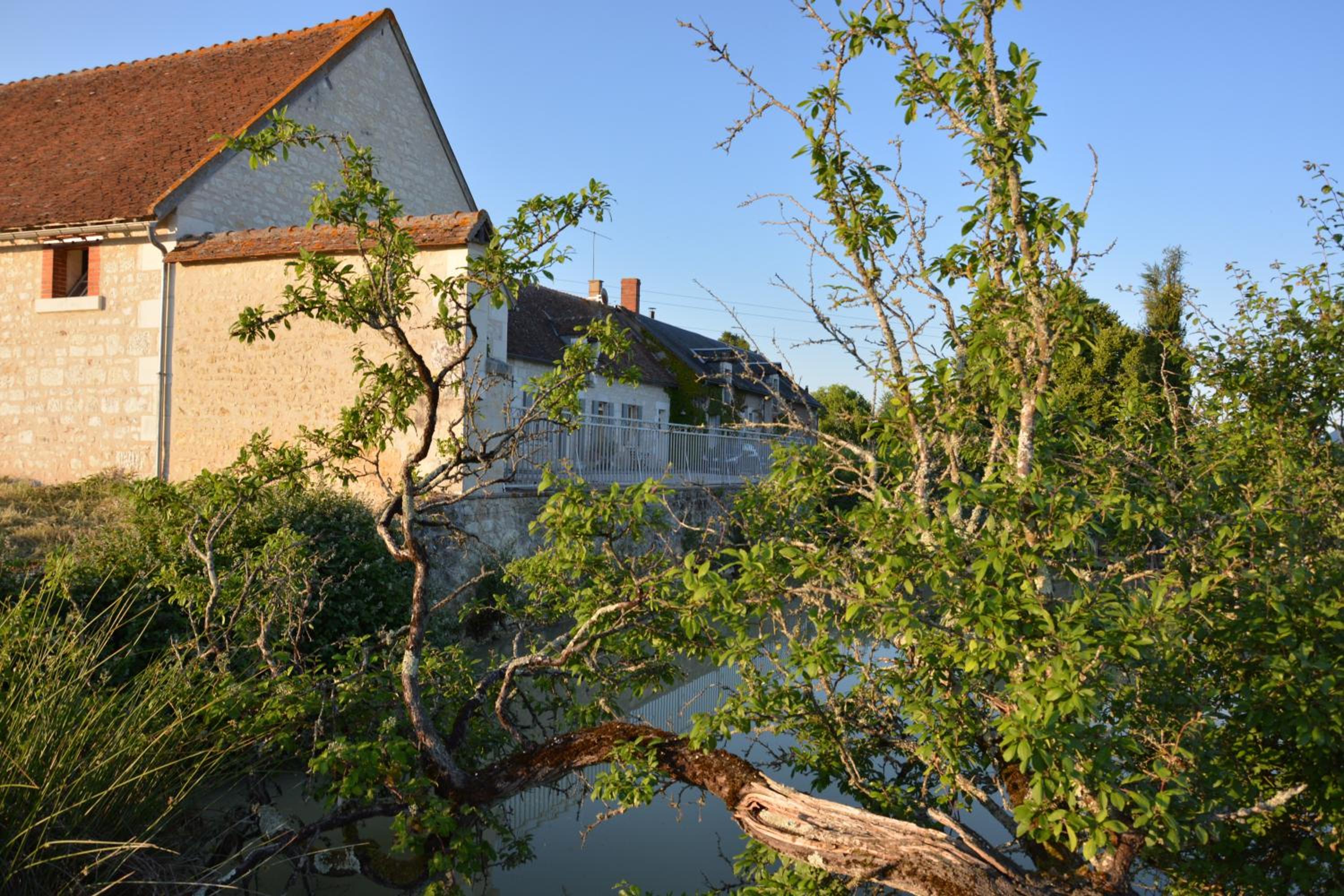 Photo 22