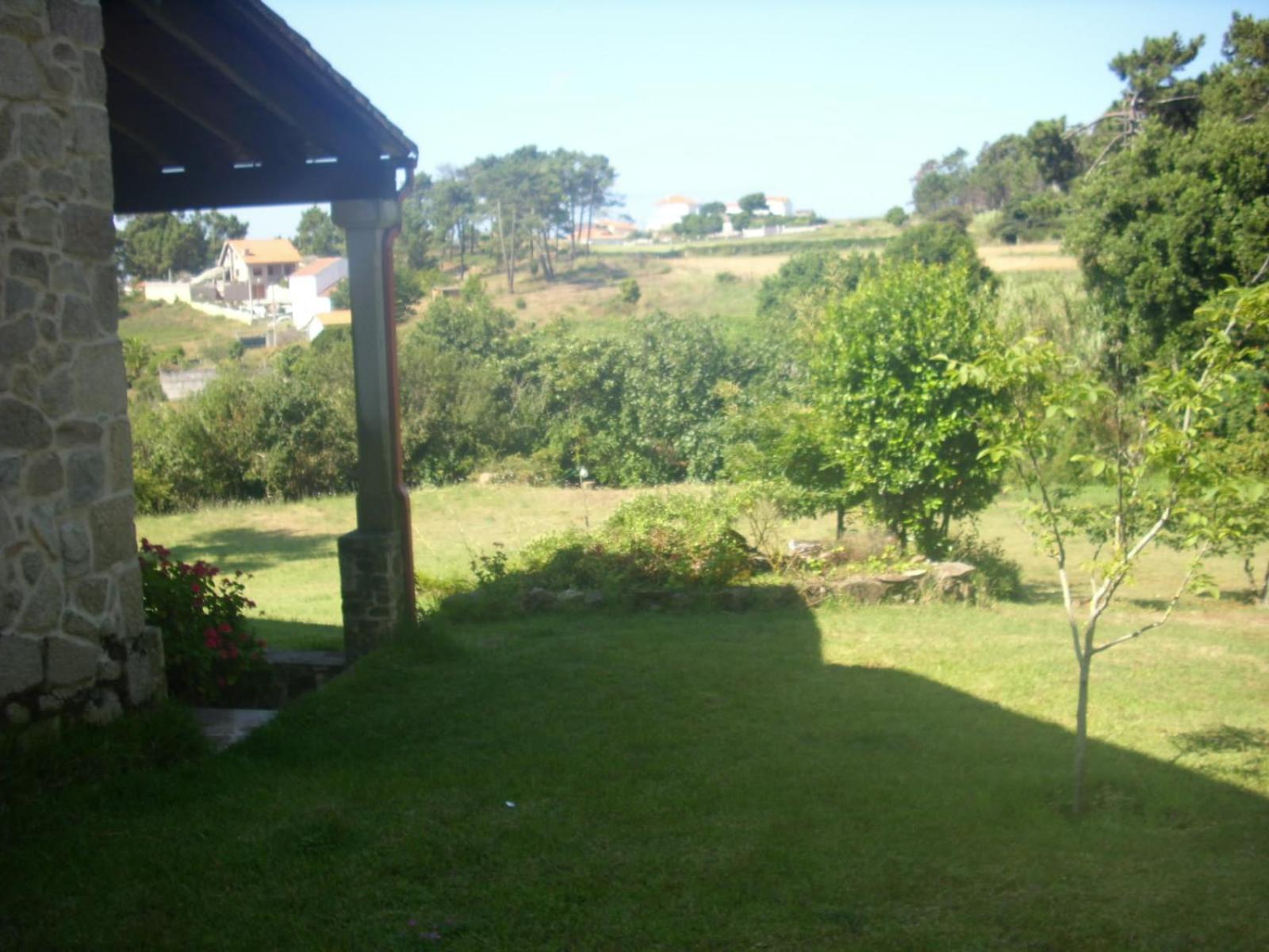 Photo 31