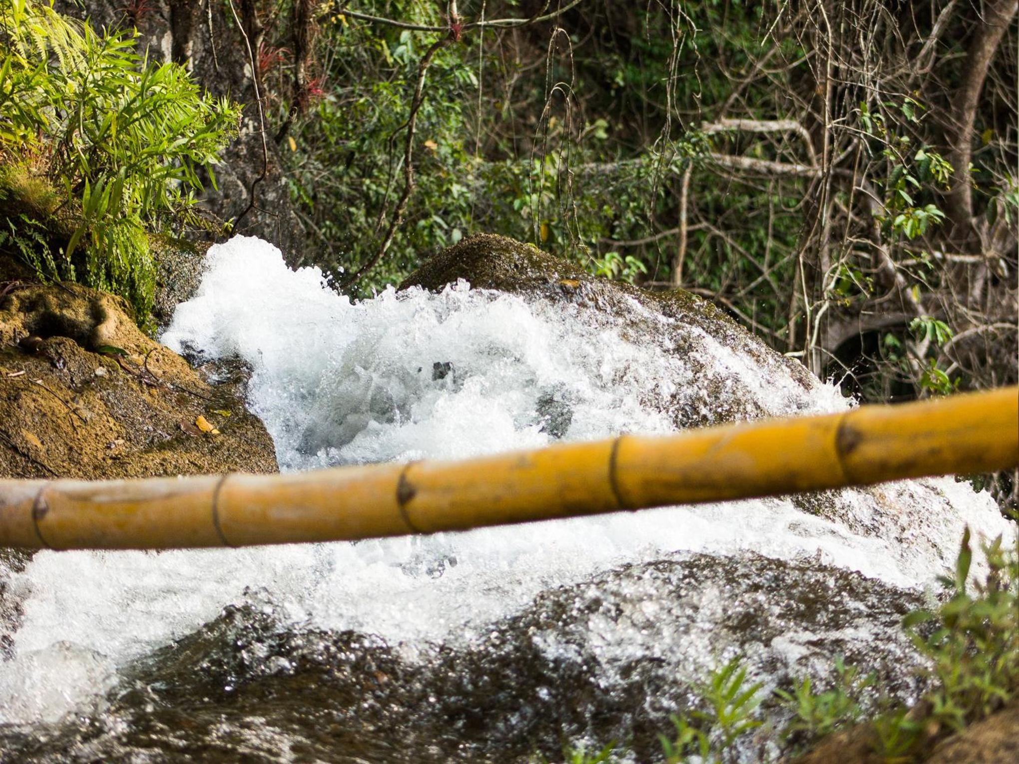 Reserva Ecologica Vive Copalitilla