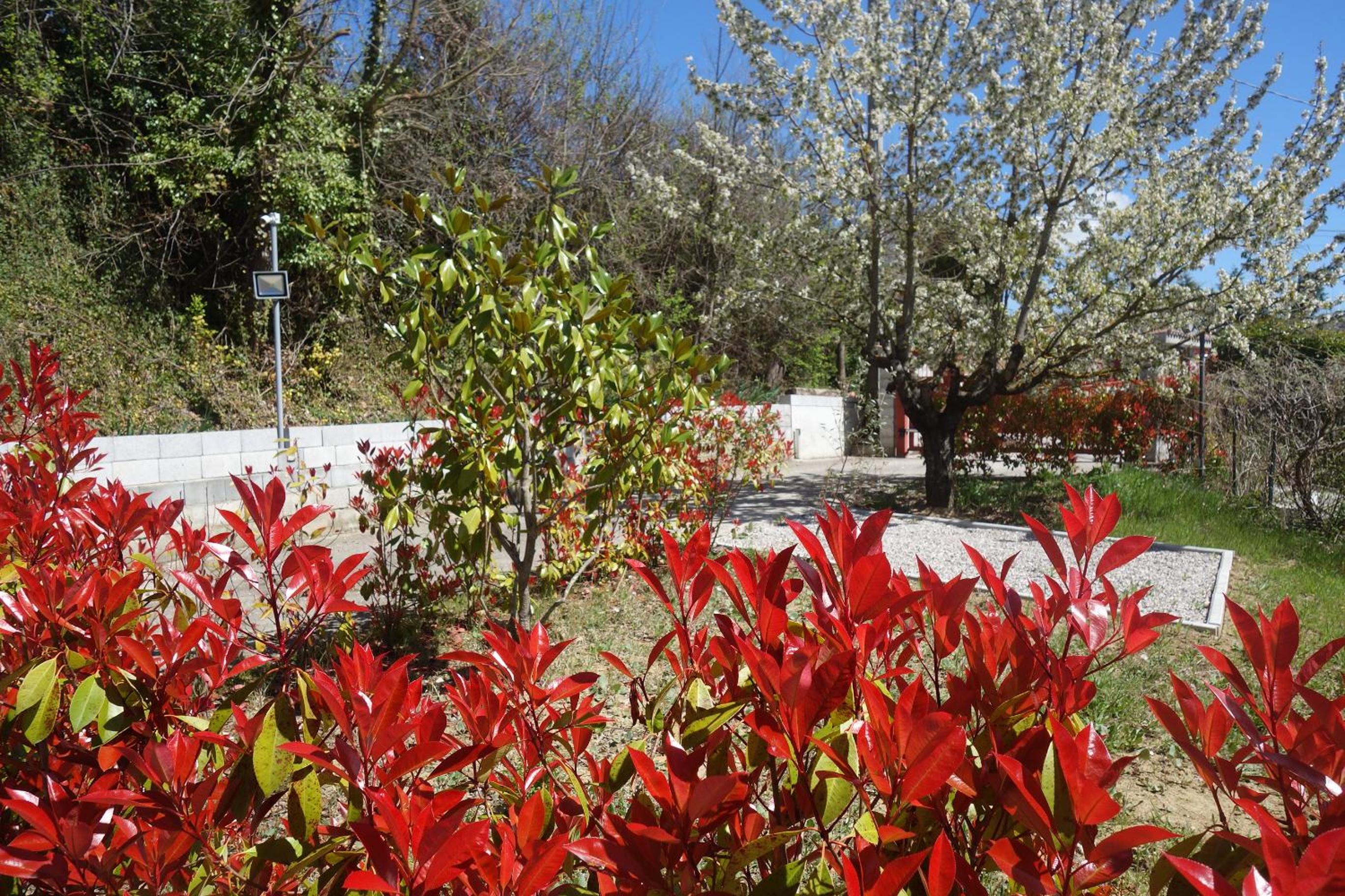 Photo 16