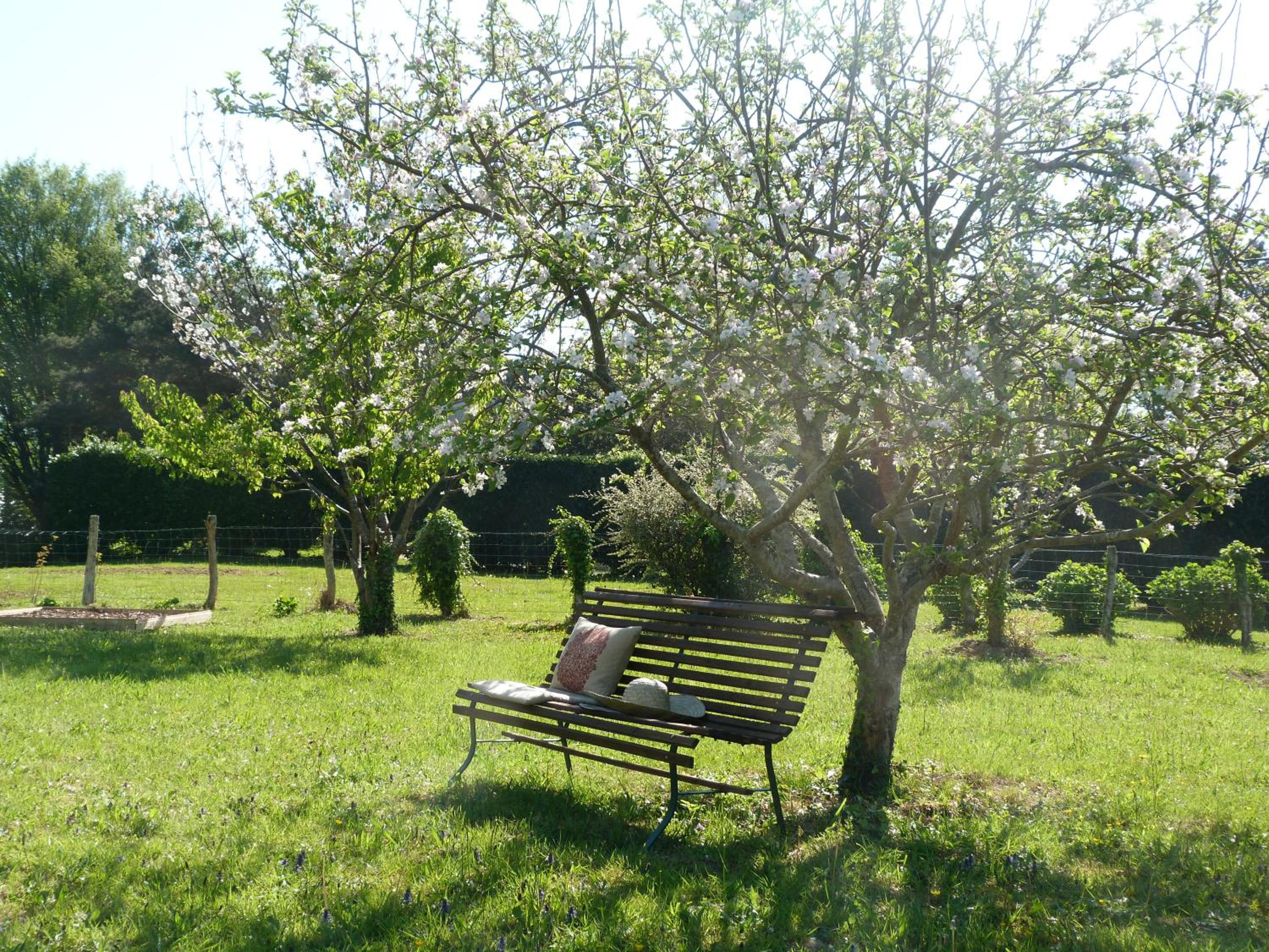 Photo 27