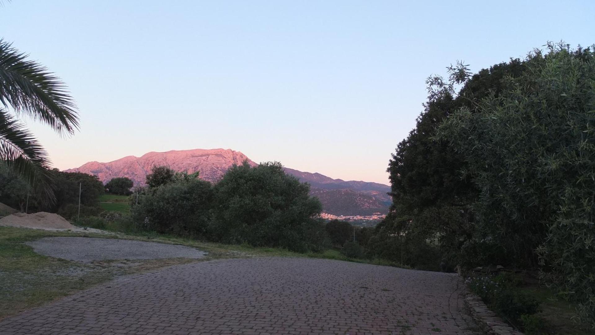Photo 24