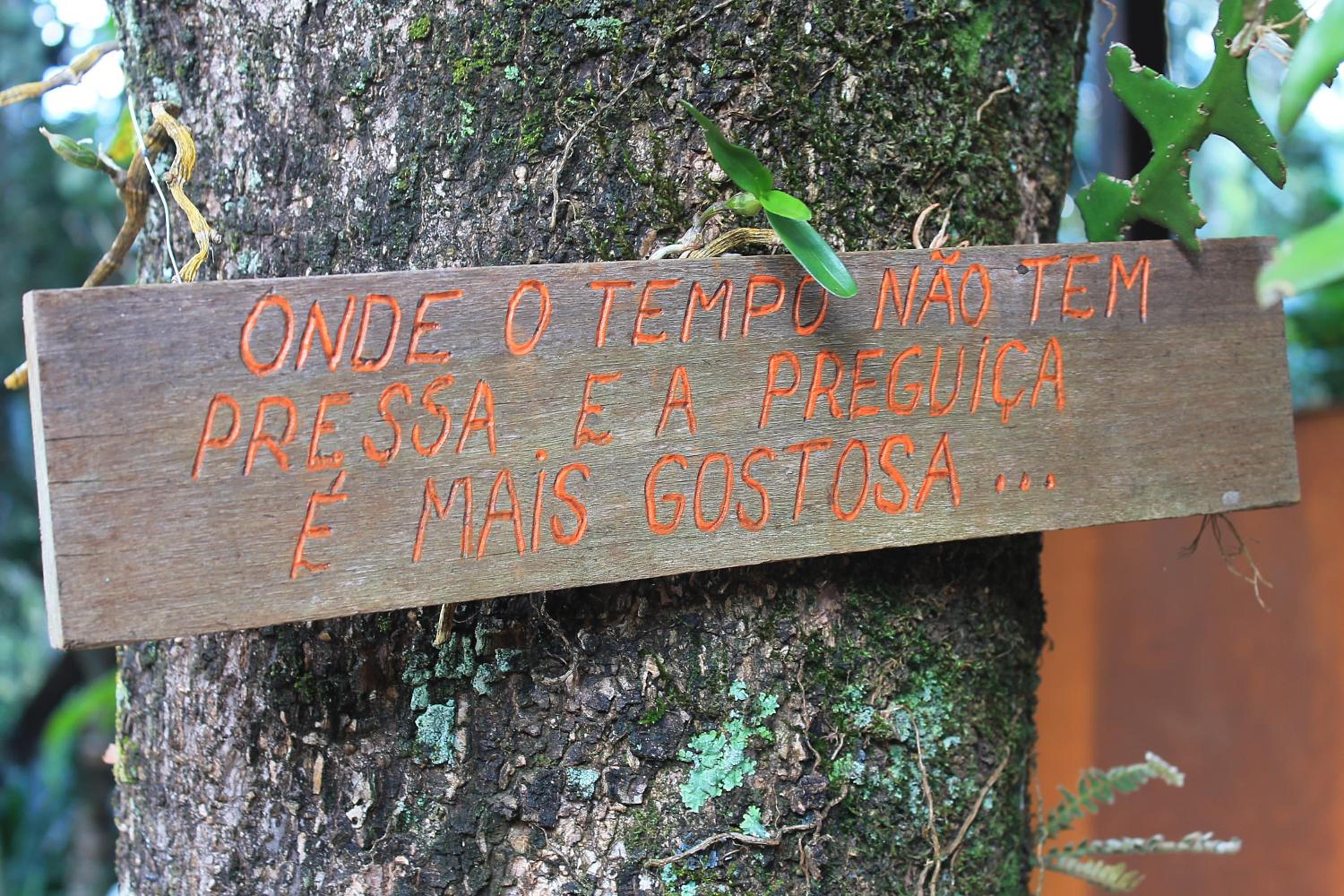 Tiô Isolda Artes & Hospedaria