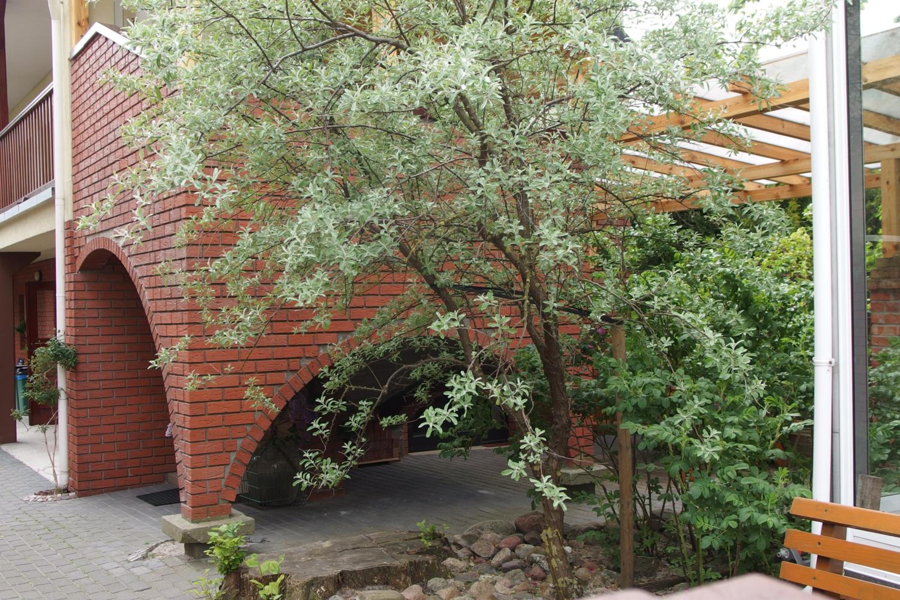 Photo 4