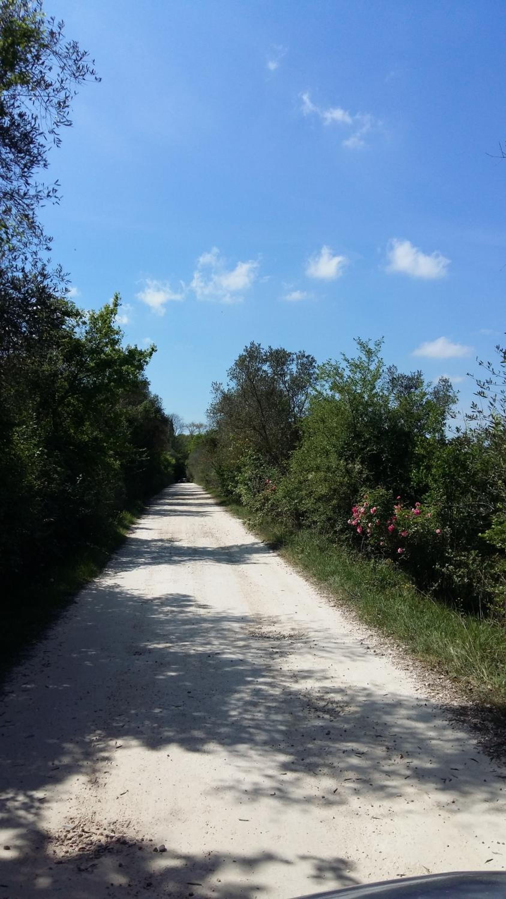 Poggio alla Scaglia