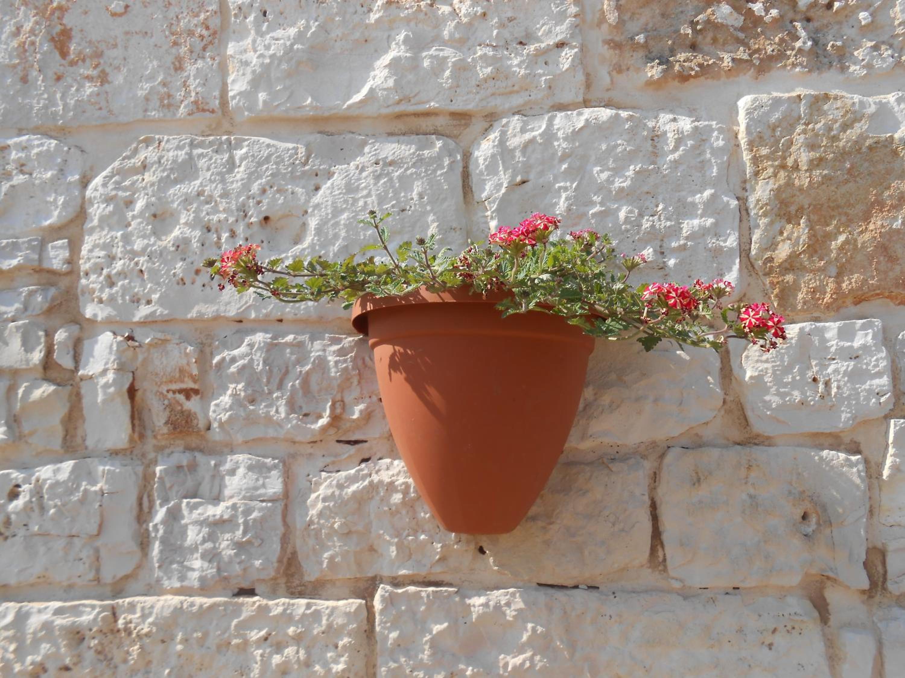 B&B La Collina Degli Ulivi