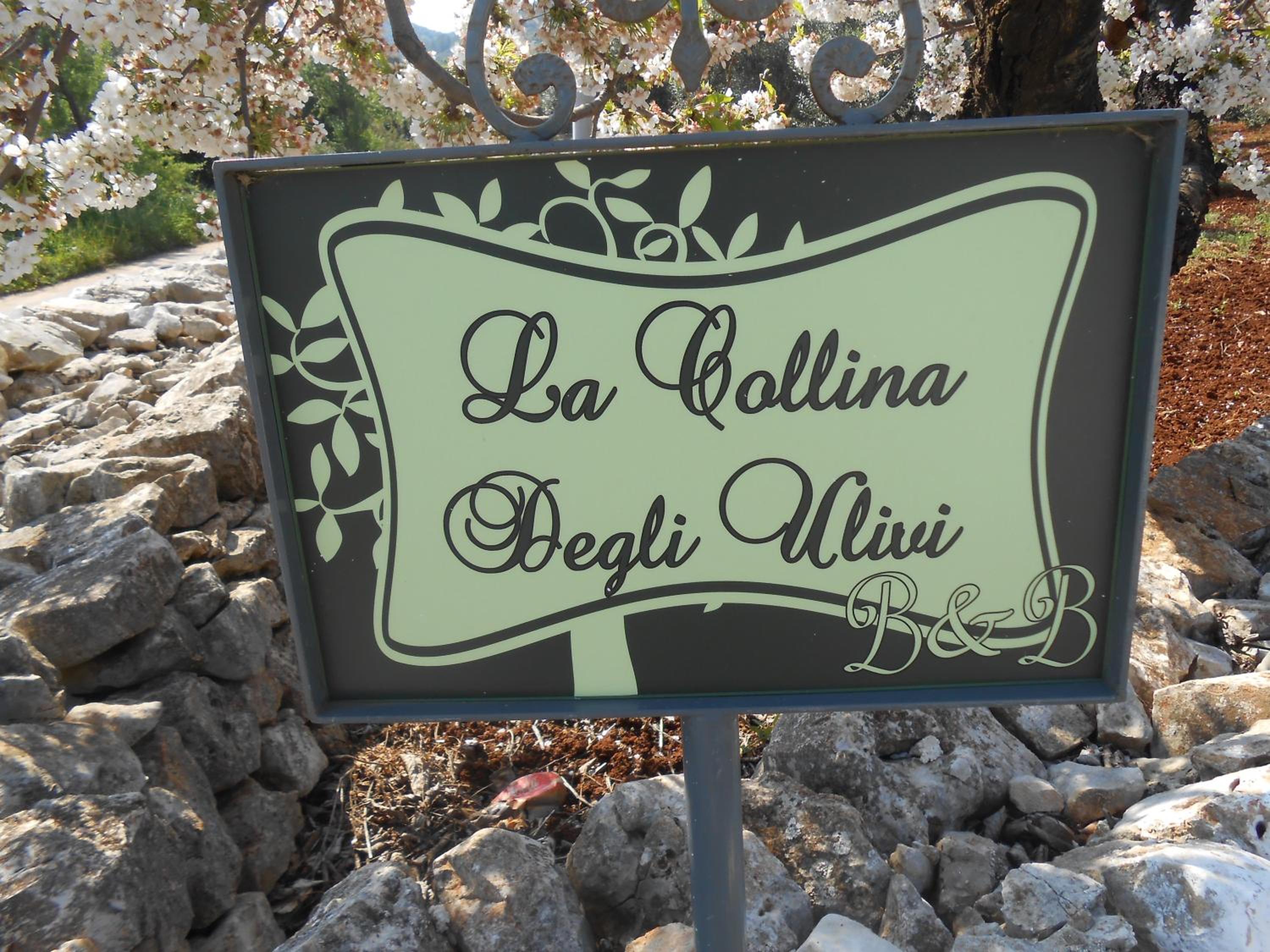 B&B La Collina Degli Ulivi