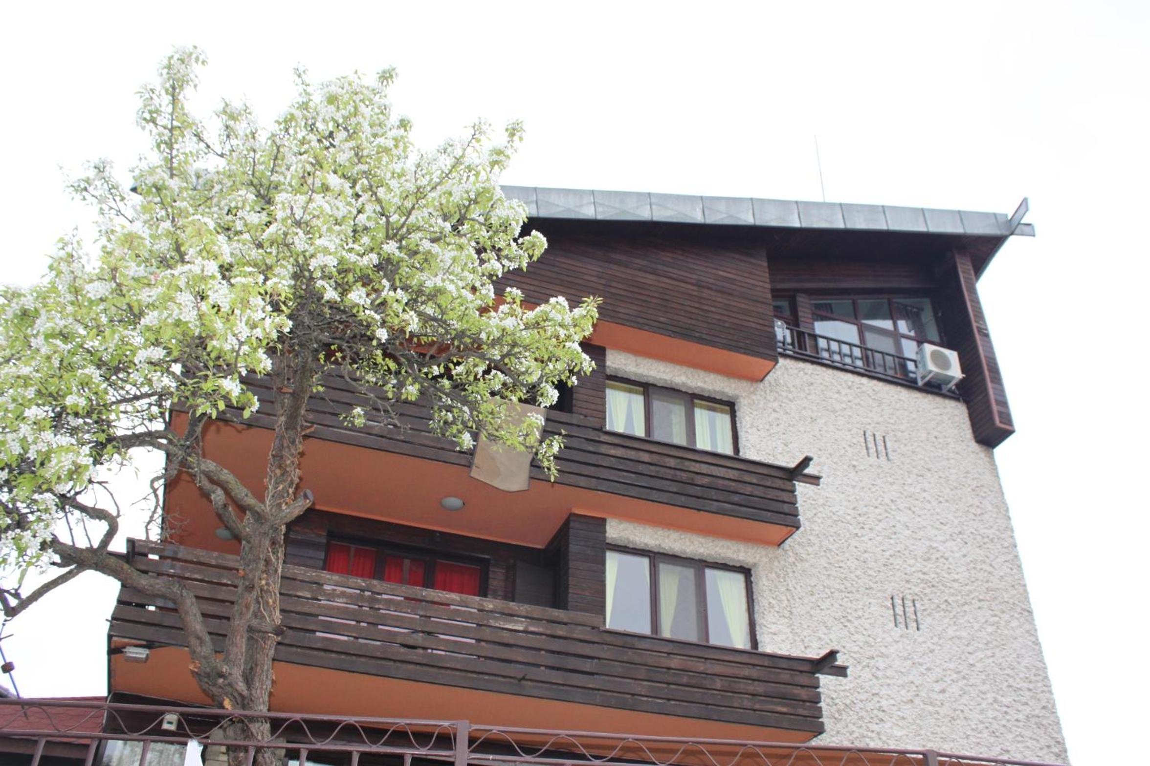 Guest House Daskalov