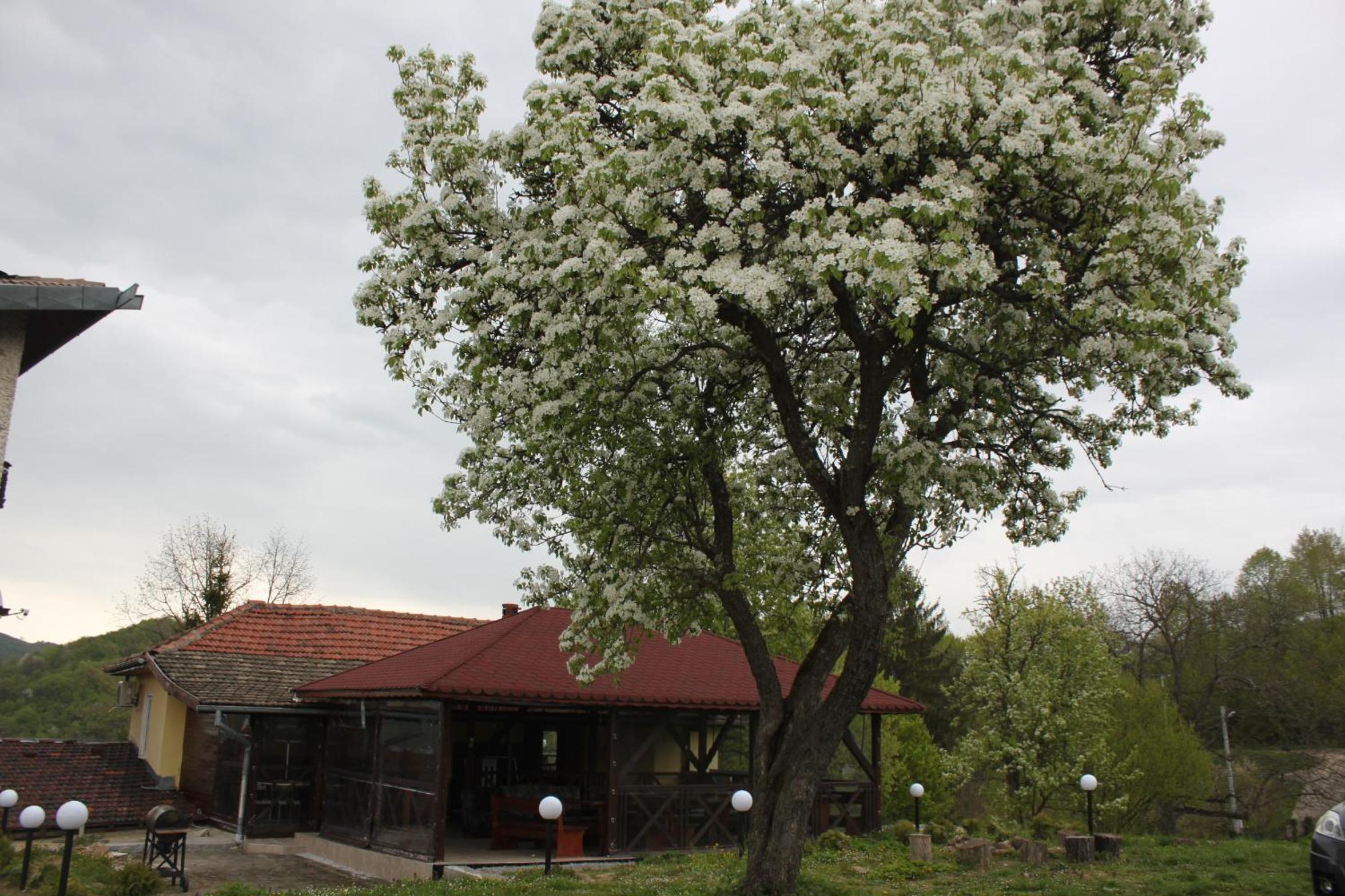 Guest House Daskalov