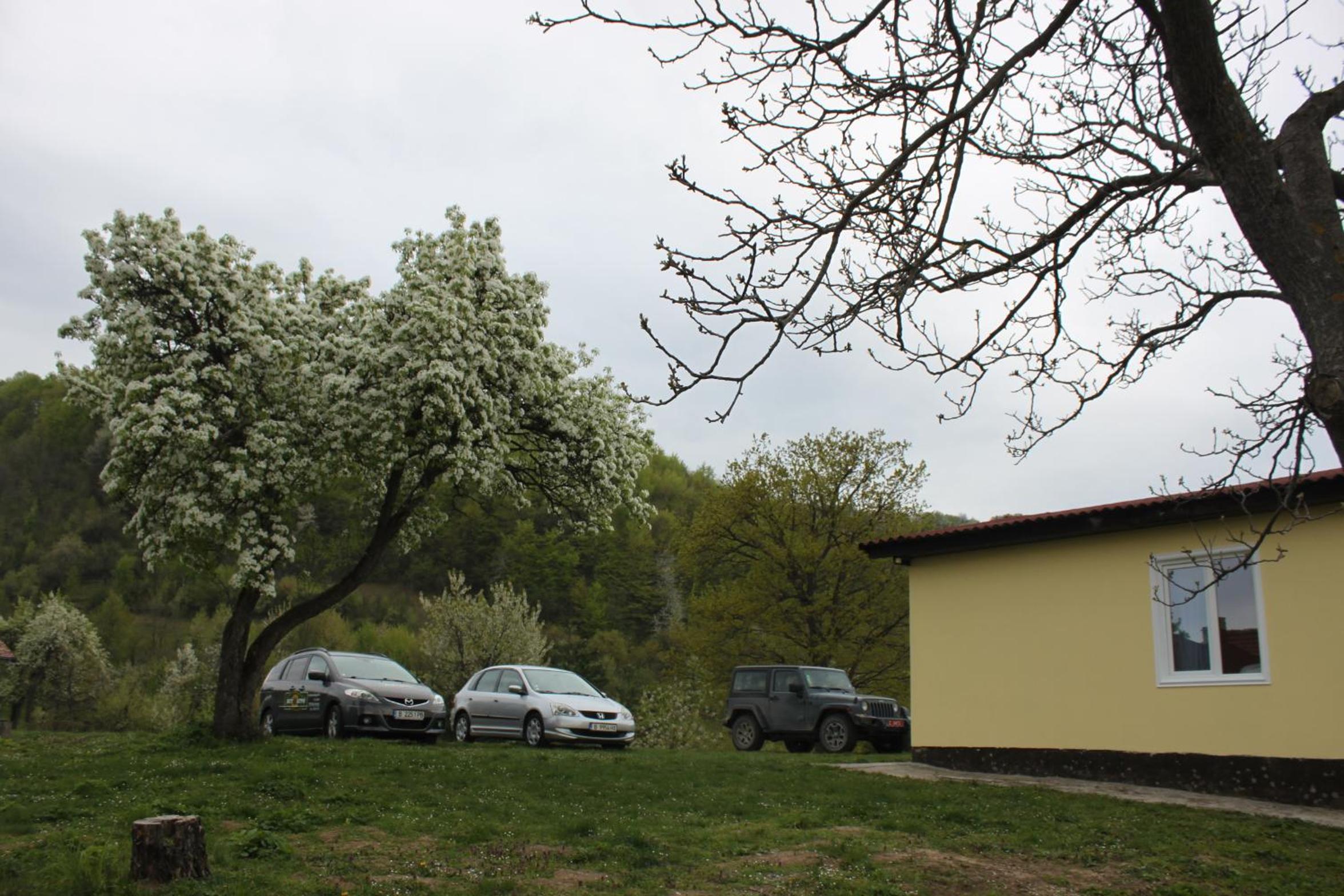 Guest House Daskalov