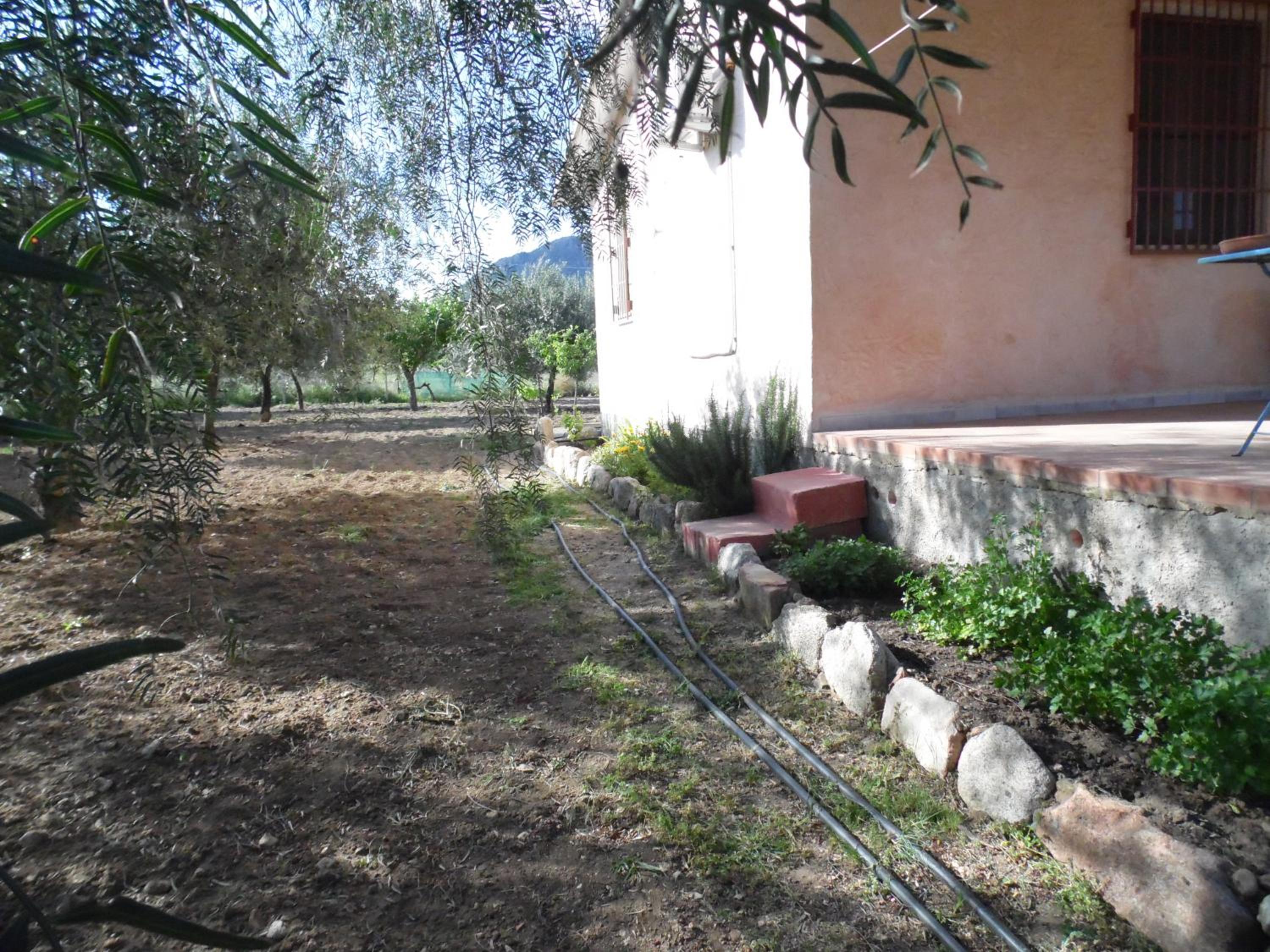 Photo 17