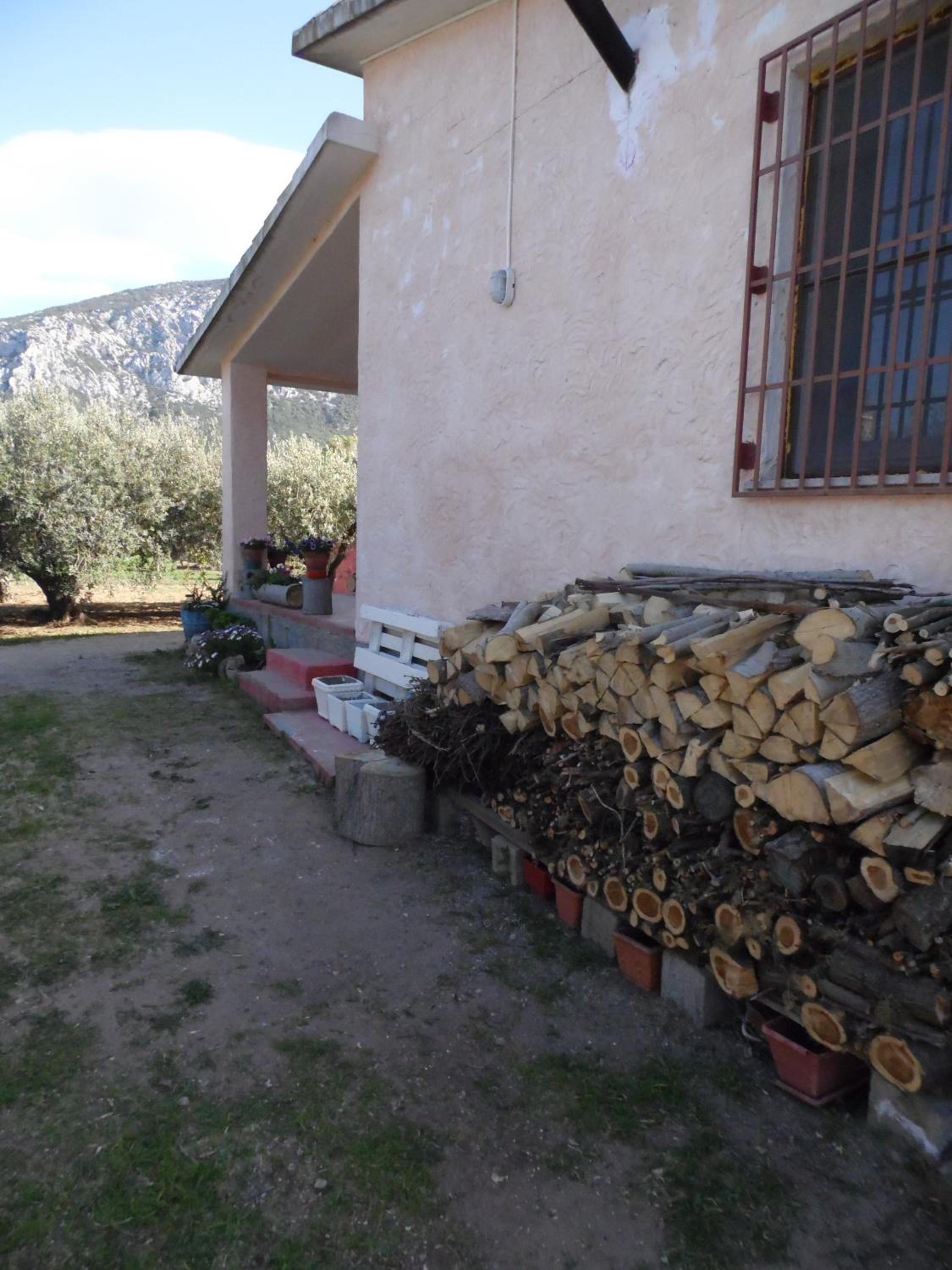 Photo 20