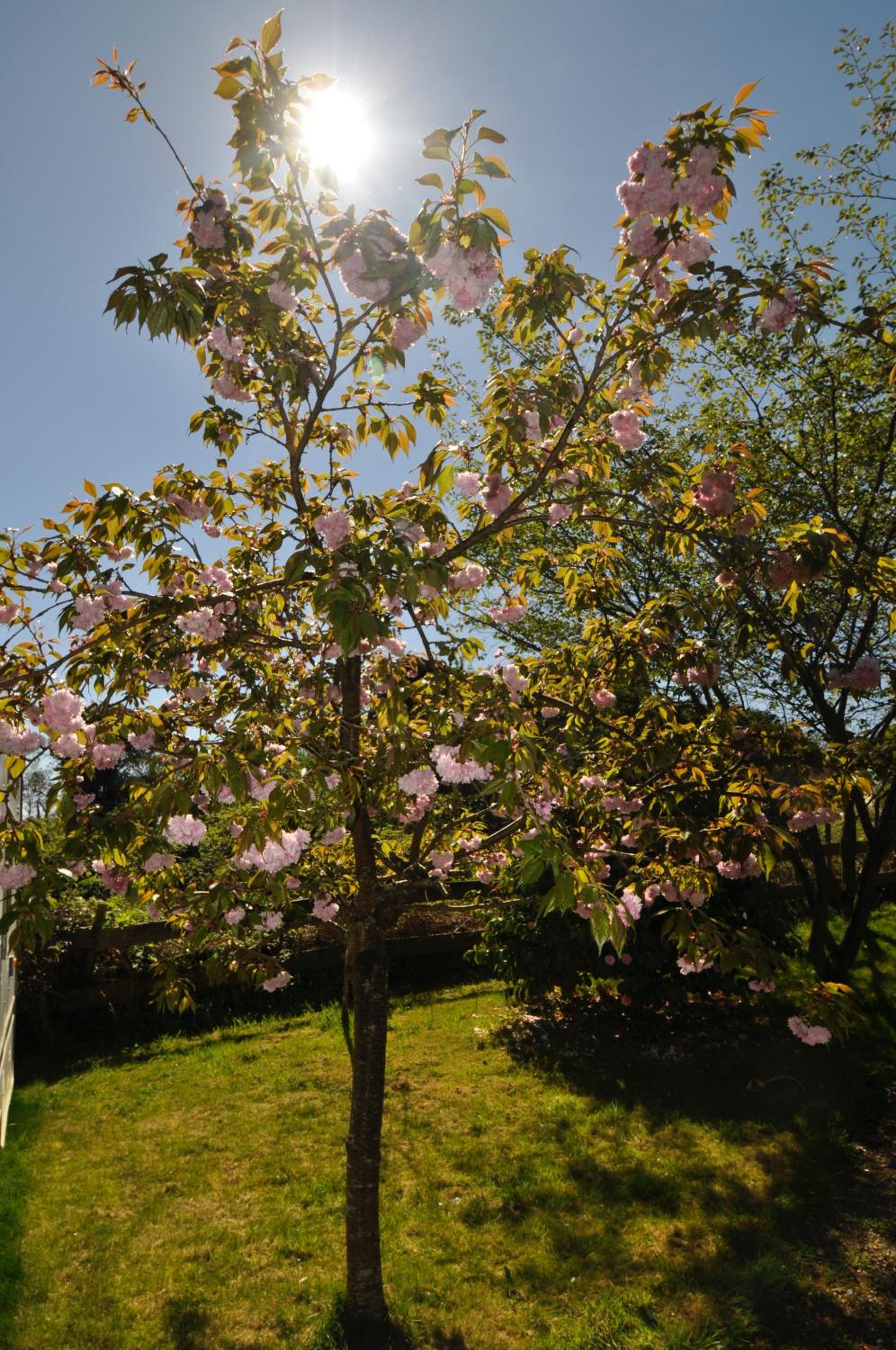Photo 26