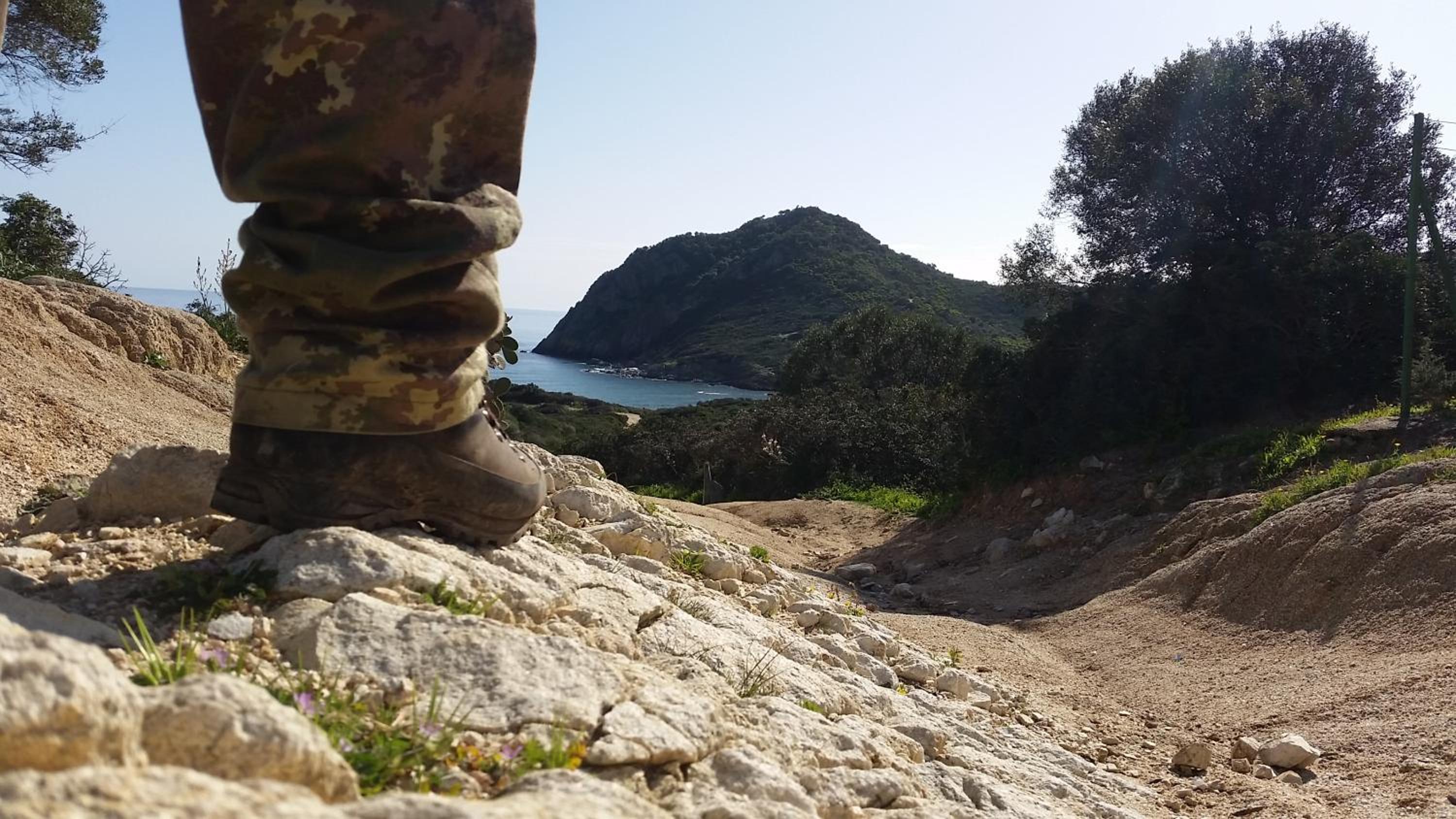 Photo 22