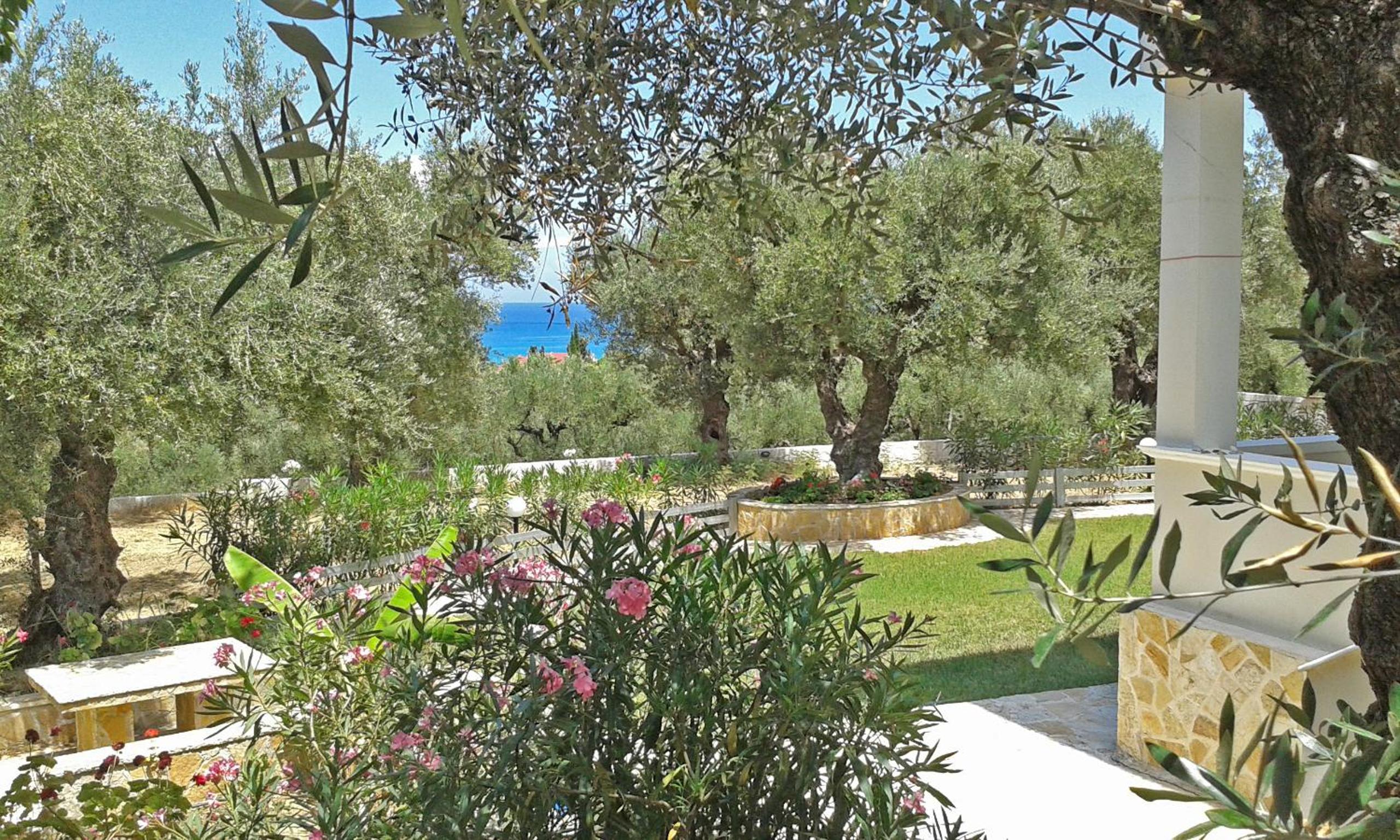 Pouliezos Koklanis Zante Apartments photo 3