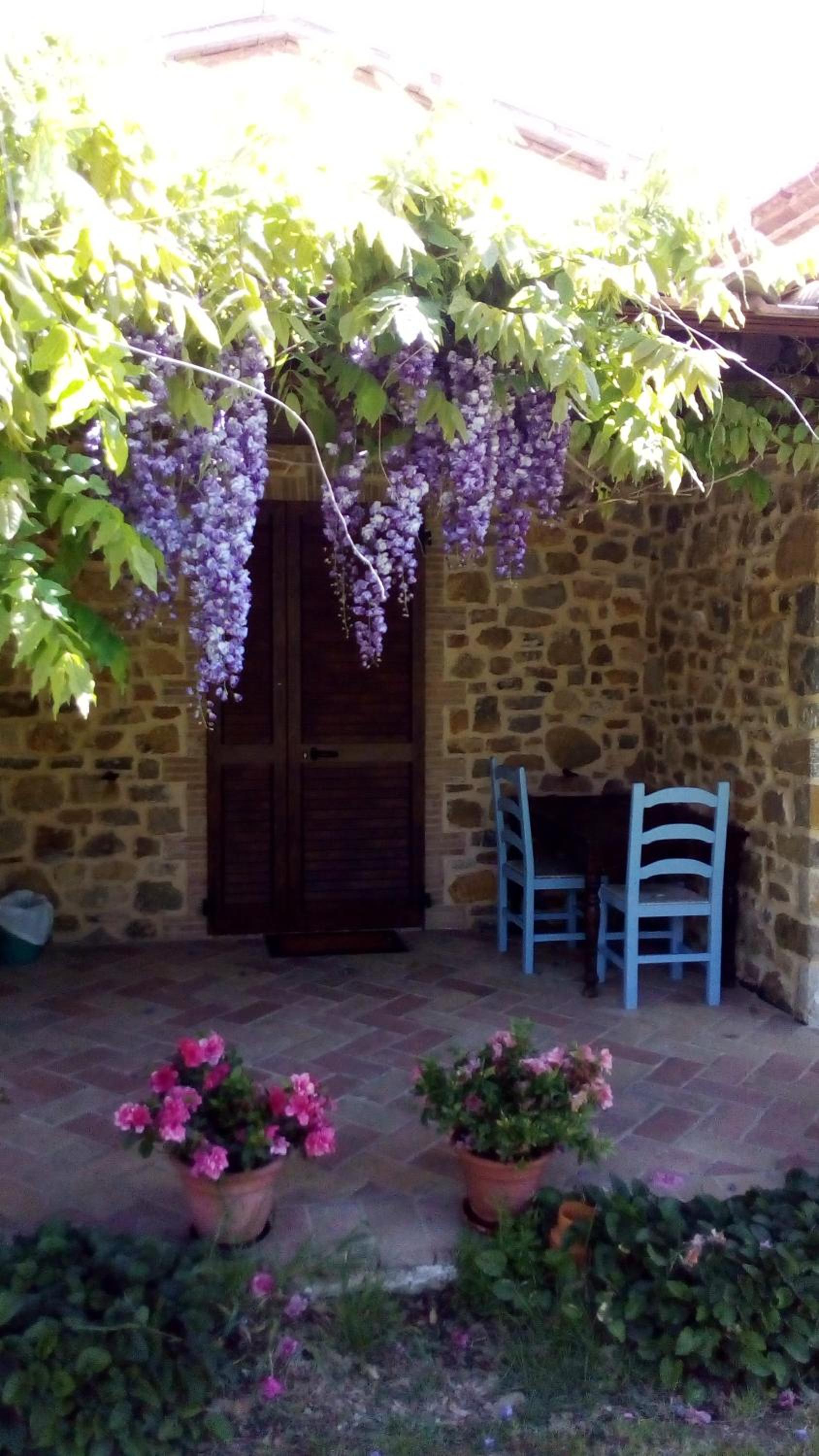 Agriturismo La Chiocciola view 3